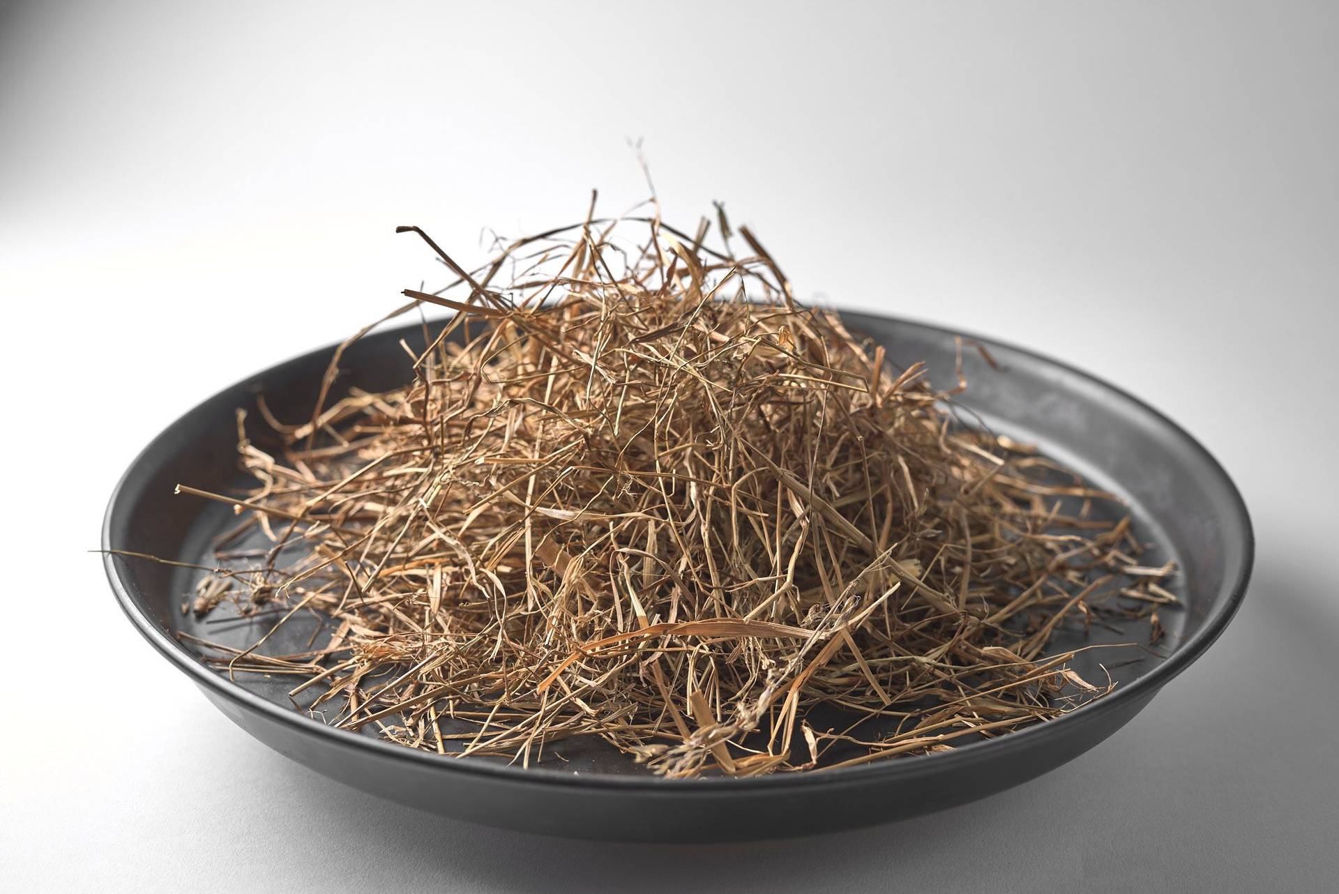 toasted hay in a baking pan on white background