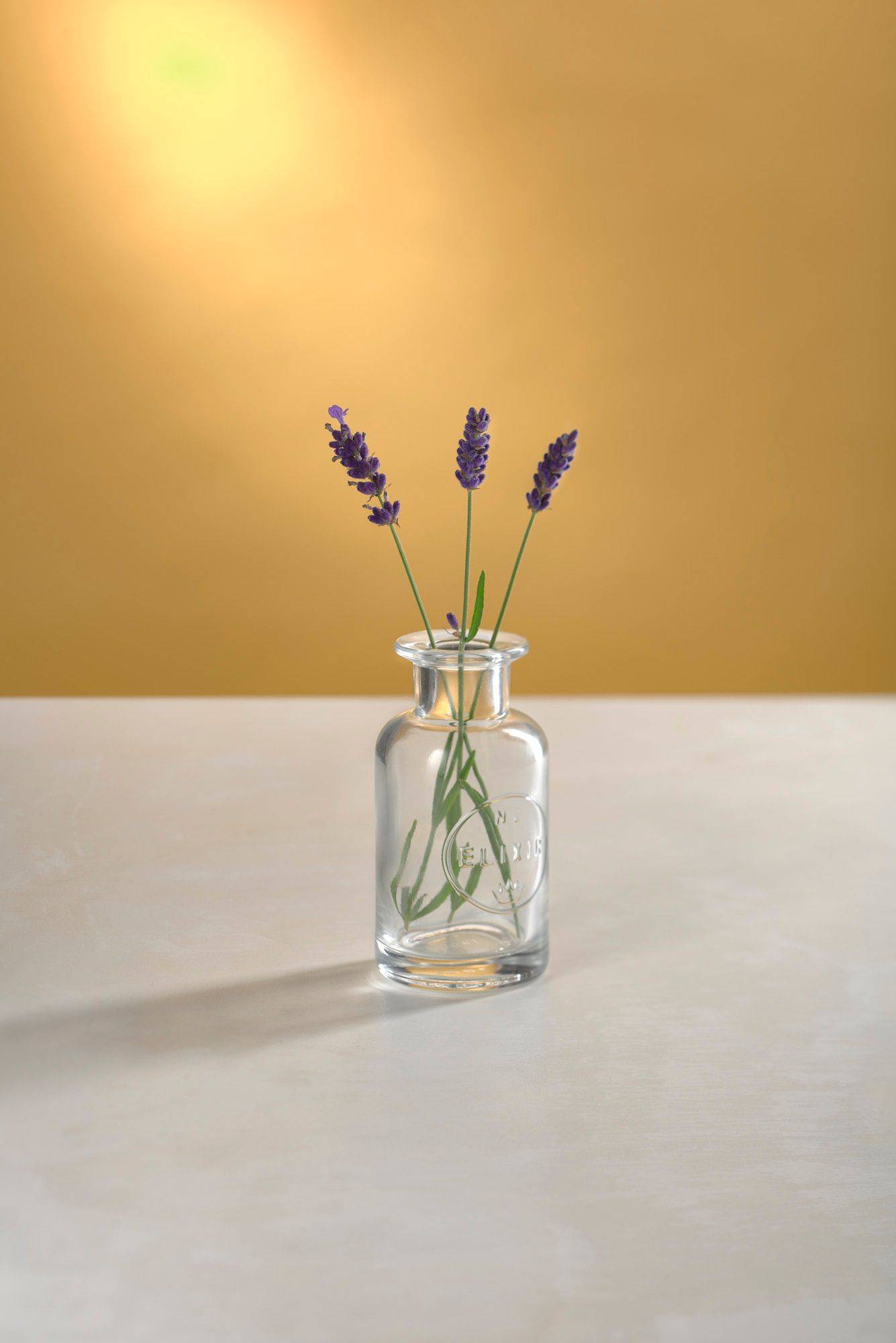 lavender in a glass bottle on white sapienstone top with yellow background