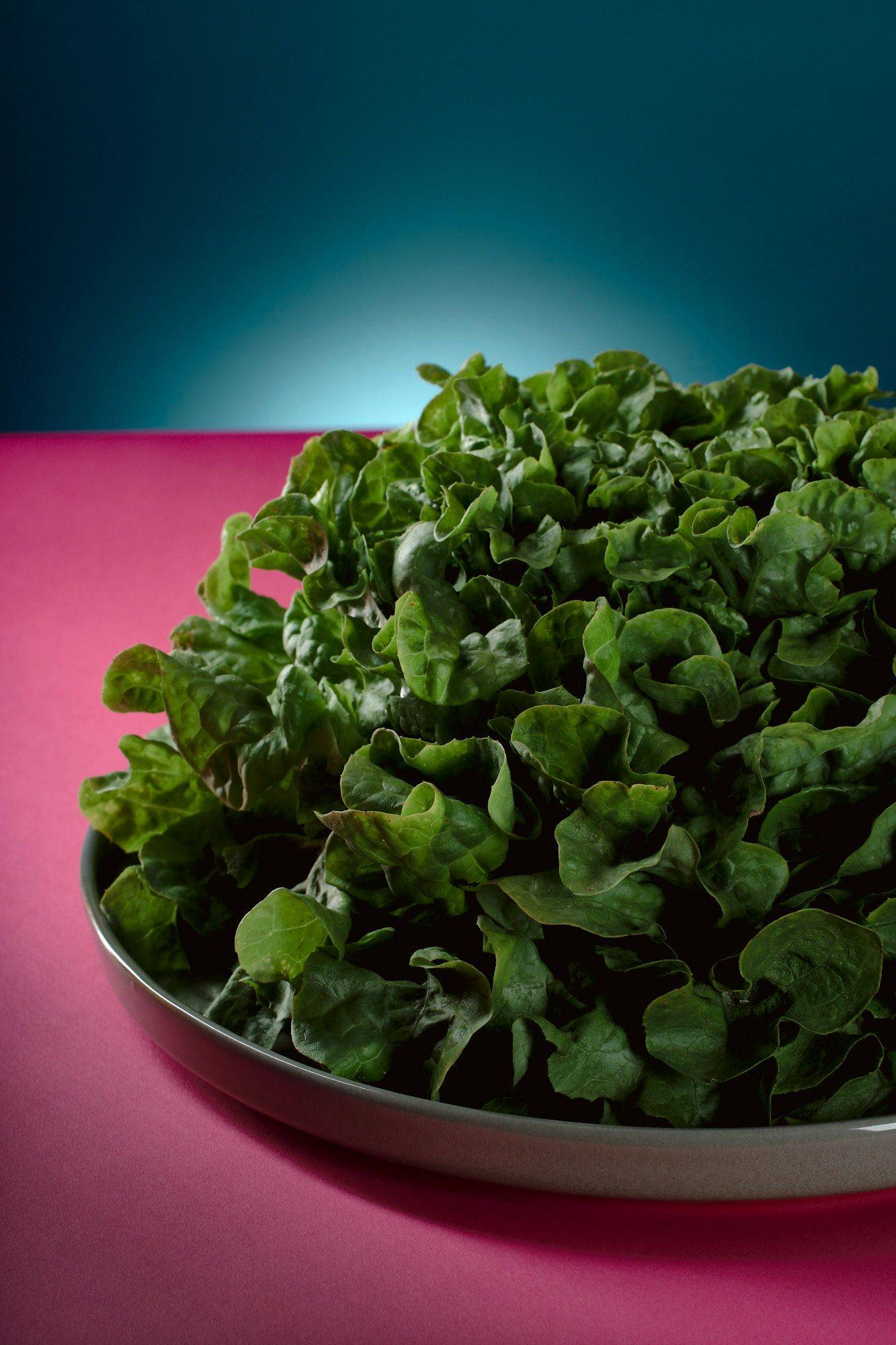 green lettuce with pink and blue background