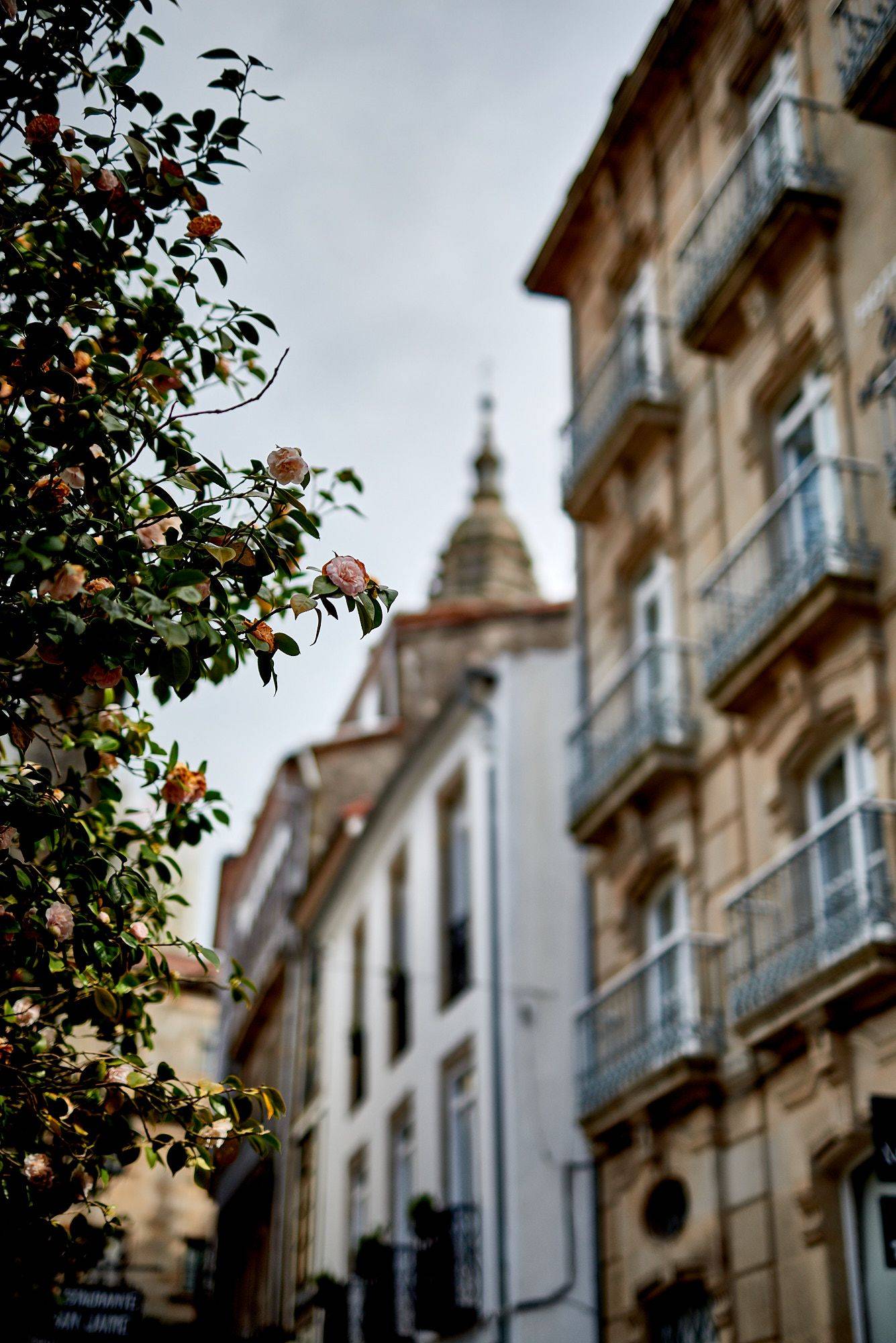 impressionen aus santiago de compostela