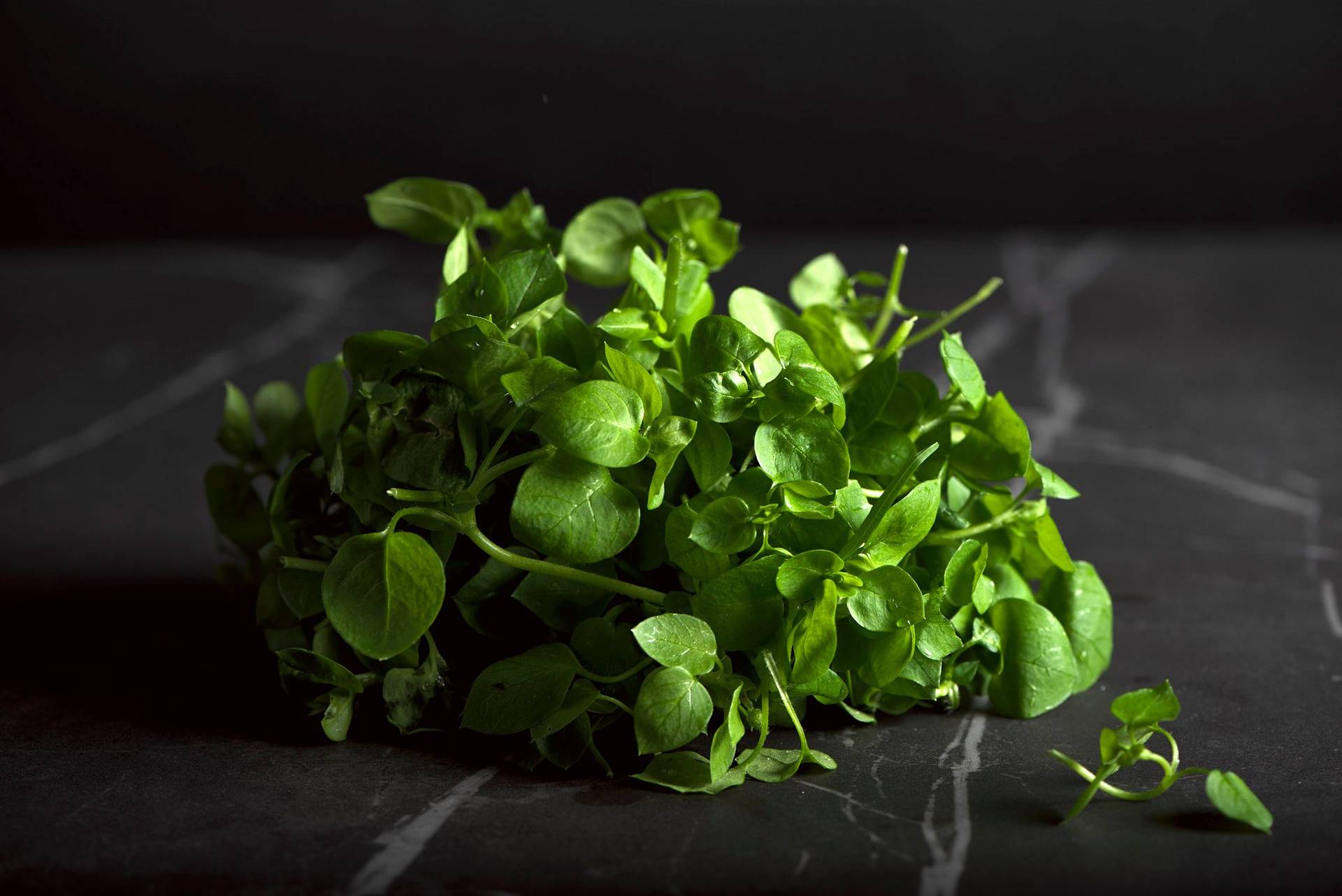 chickweed on a gray sapienstone top