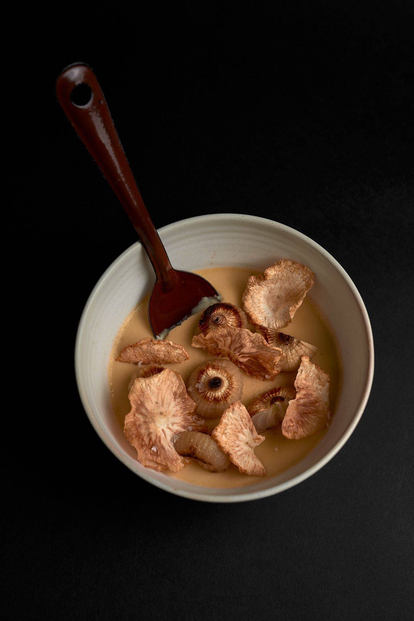 the-bowl-stories-cookbook-by-ben-donath the bowl stories cookbook by ben donath