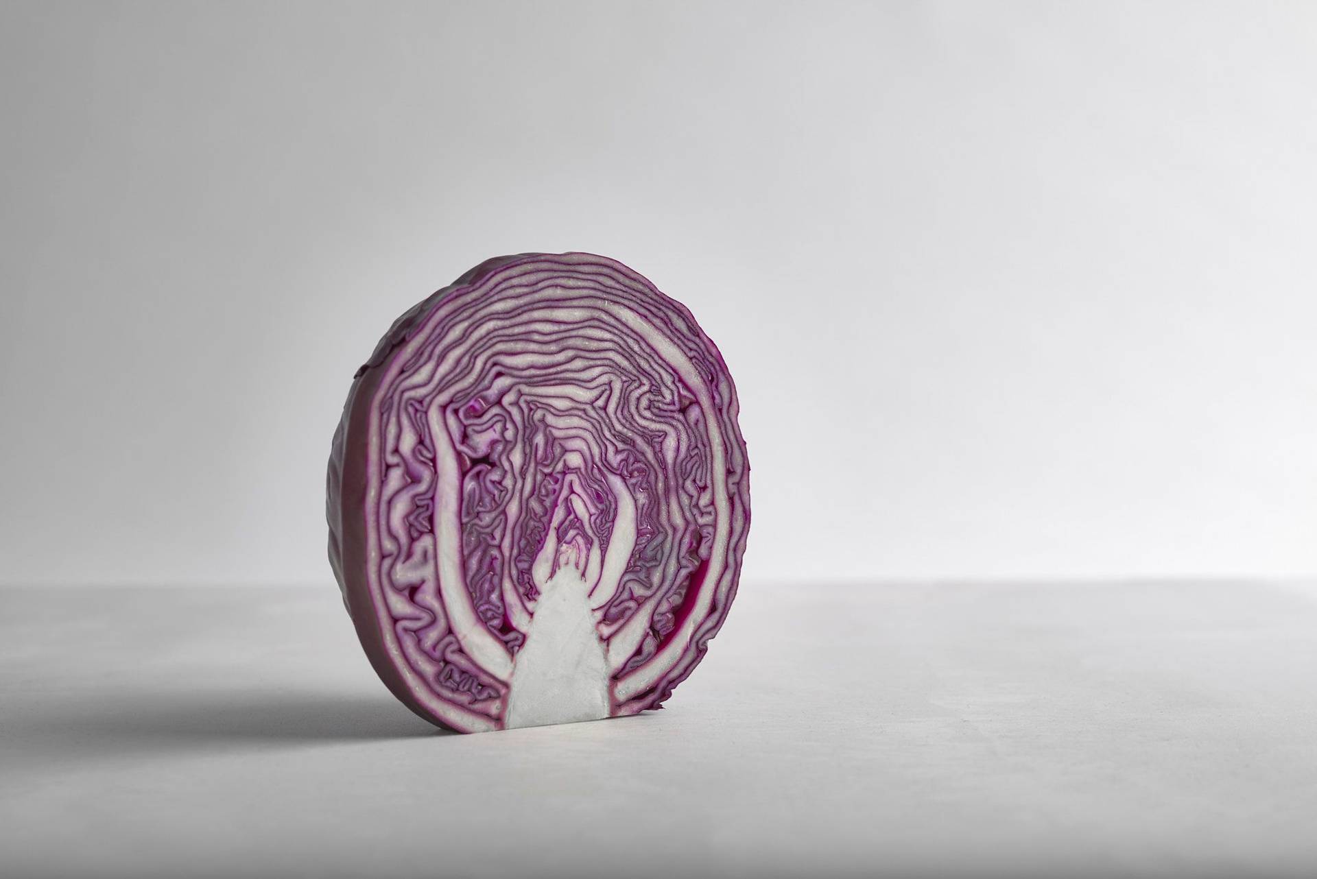 rotkohl auf einem weißen sapienstone top