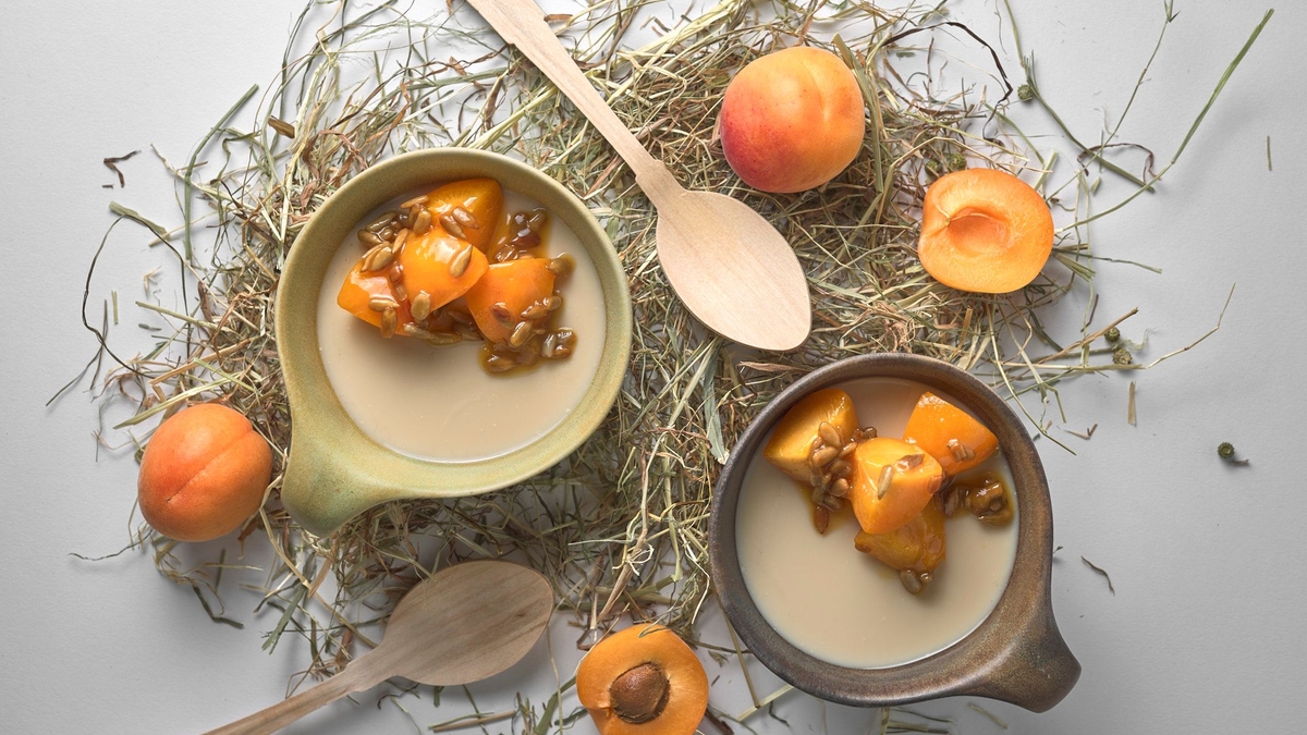 Heu Panna Cotta mit Aprikosen & Sonnenblumenkernen
