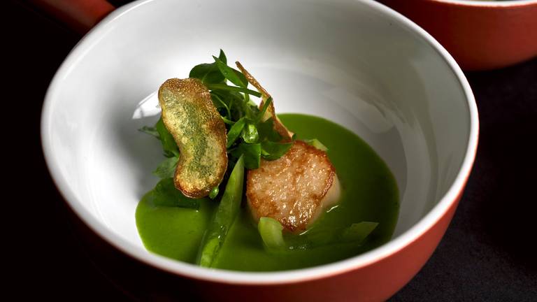 Scallops Verde