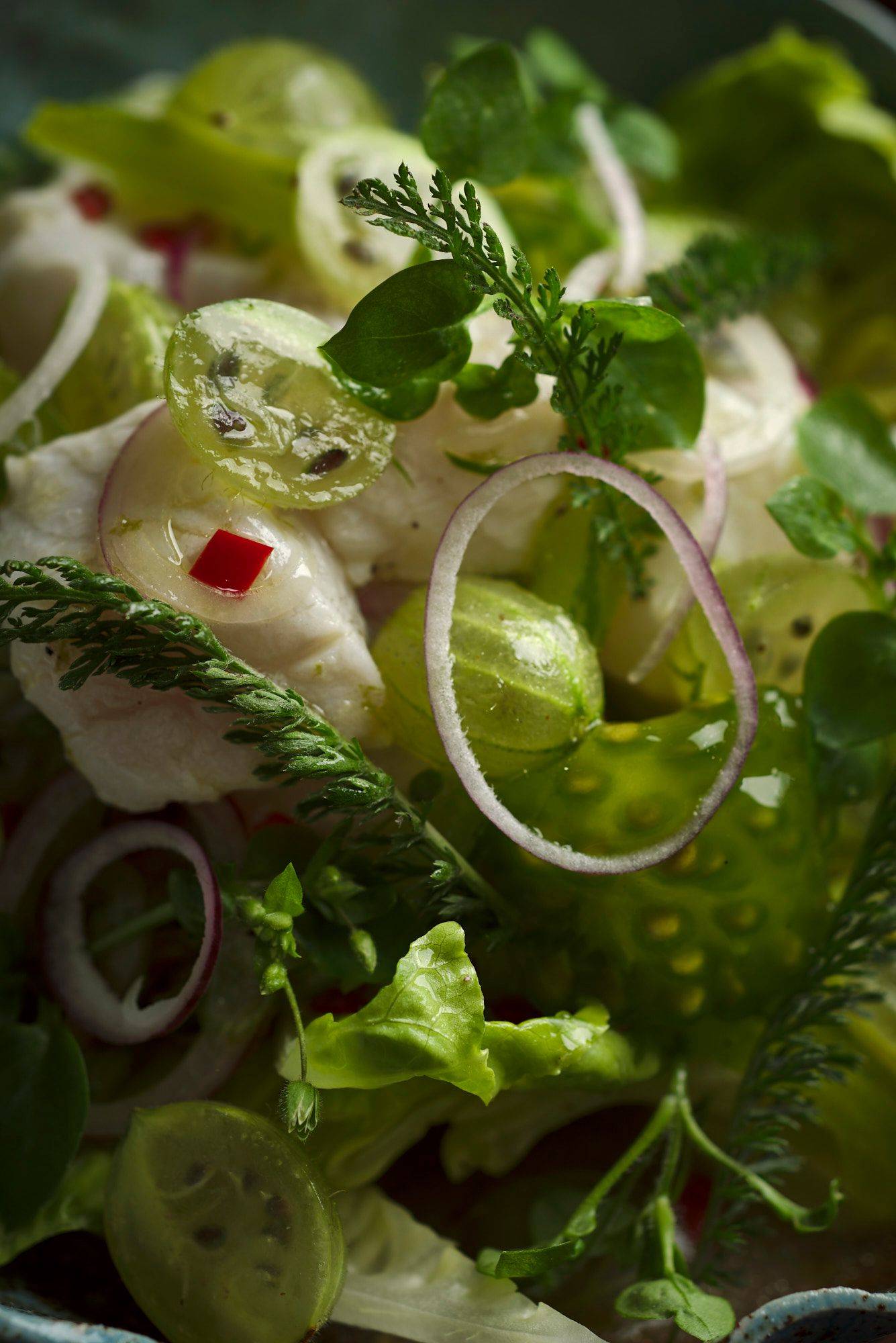 kabeljau ceviche mit stachelbeeren in einer türkisen schale