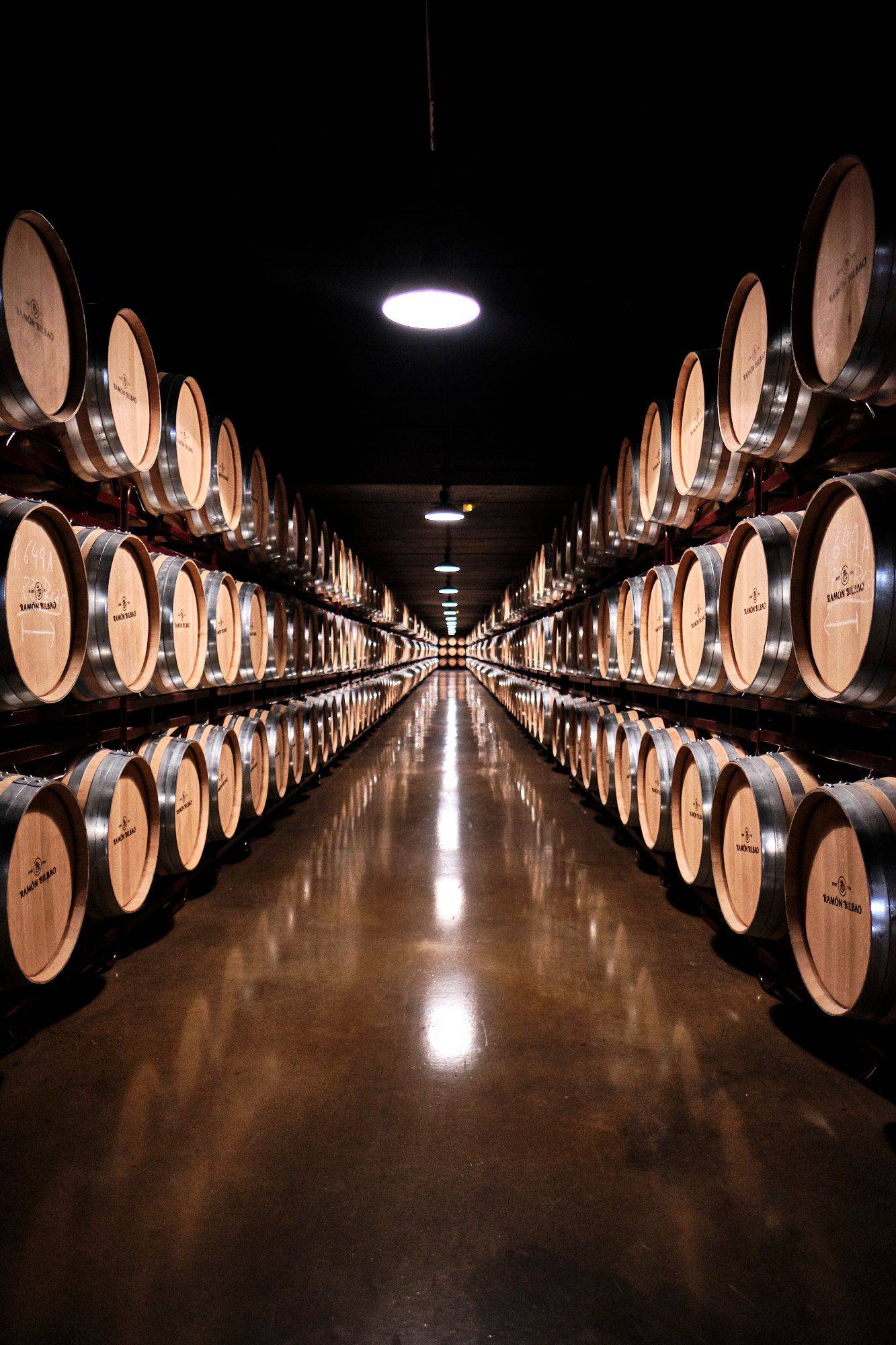 the wine cellar of the bodega ramon bilbao in rioja alta