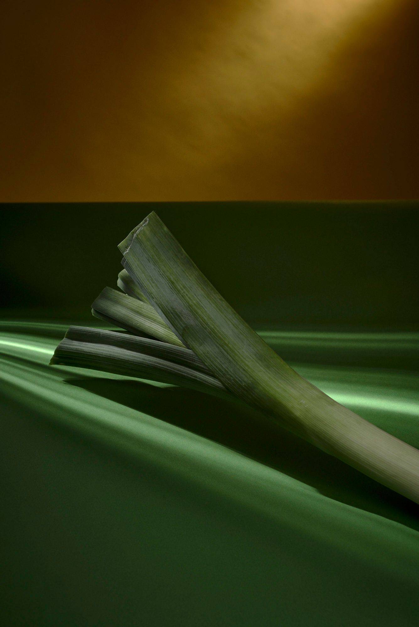 leek with green yellow background