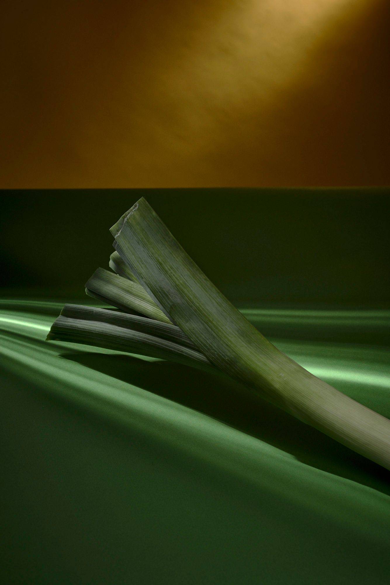 leek leek with green yellow background
