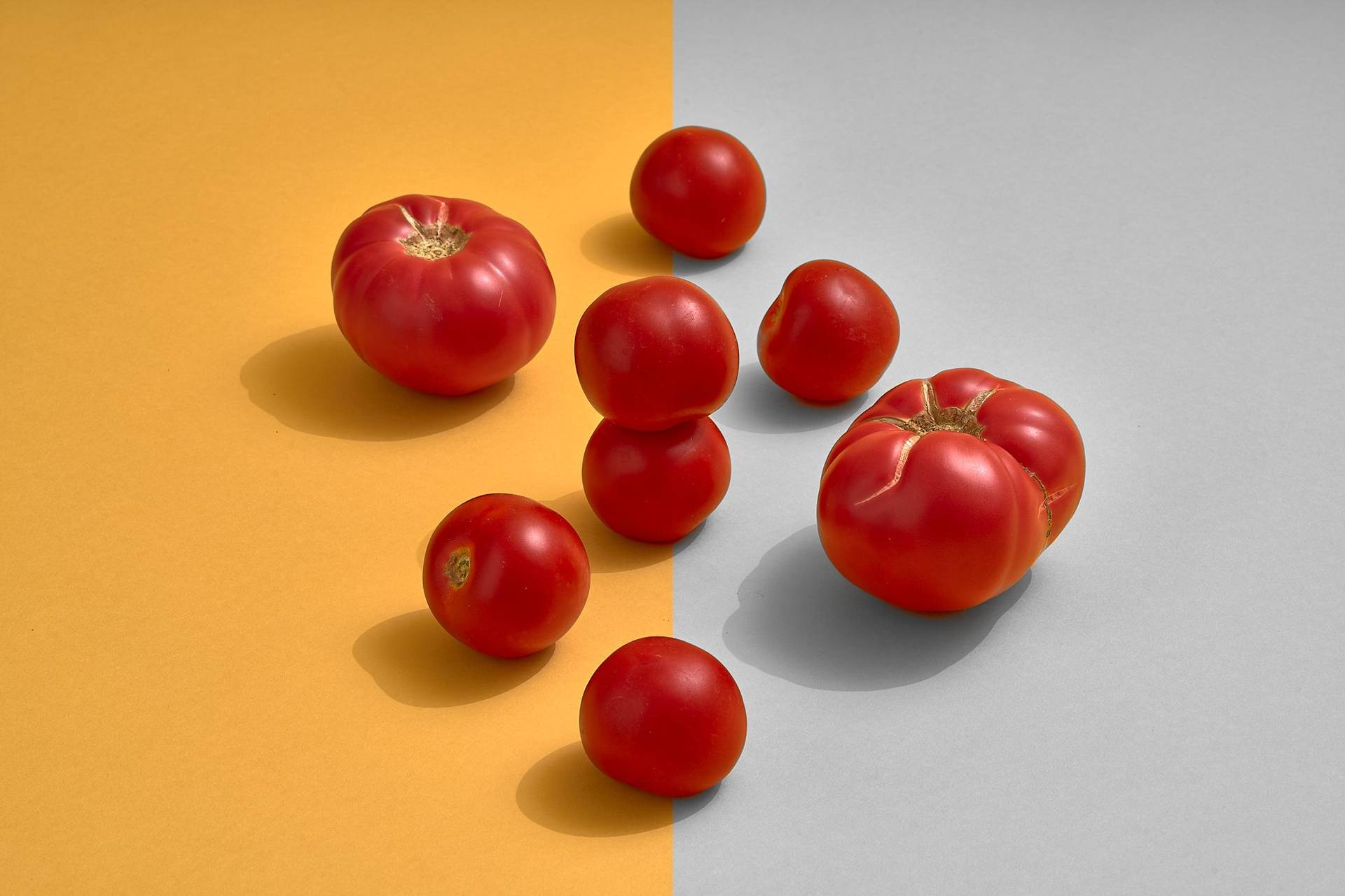 tomatoes on yellow background