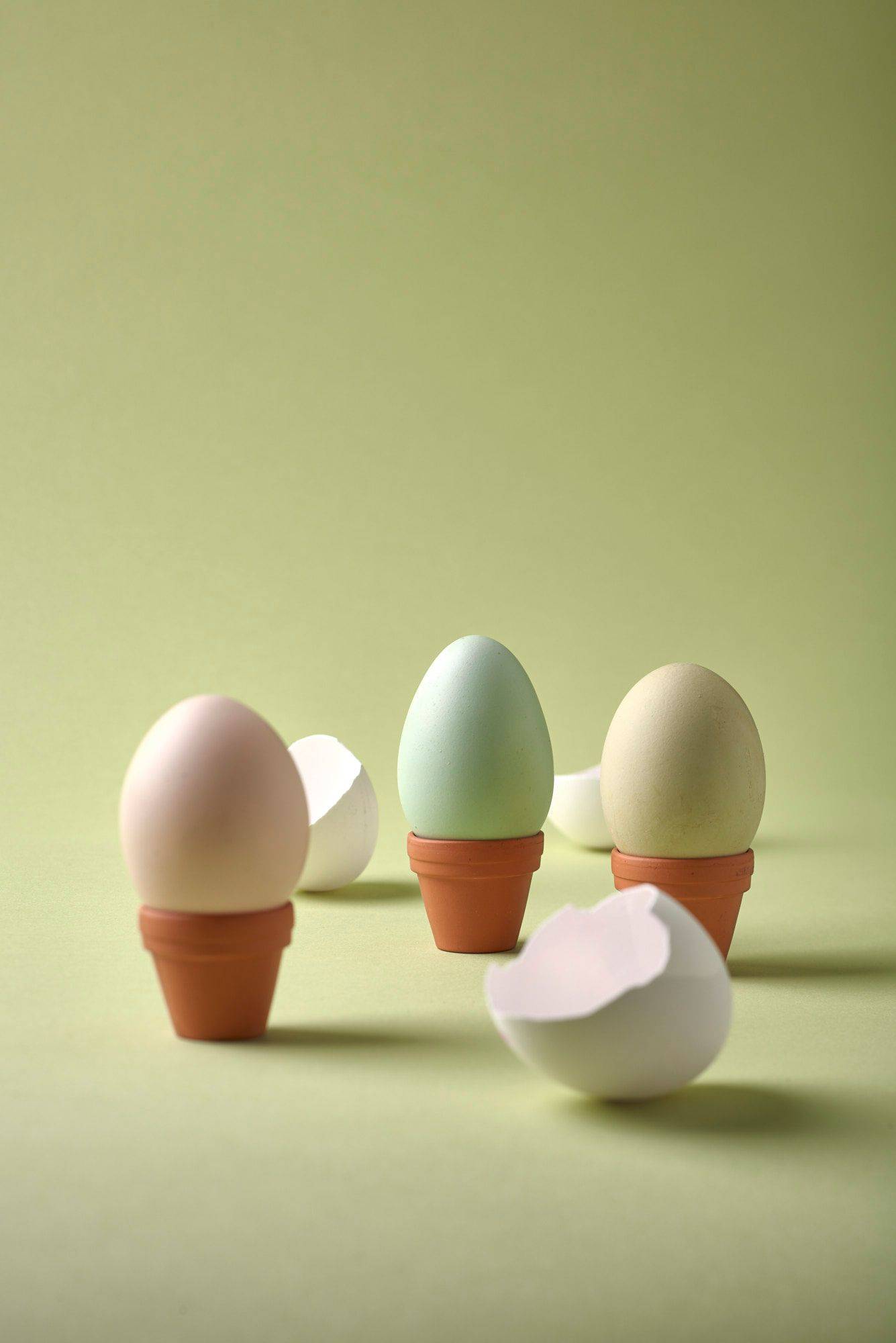 drei bio eier mit eierschalen mit grünem hintergrund
