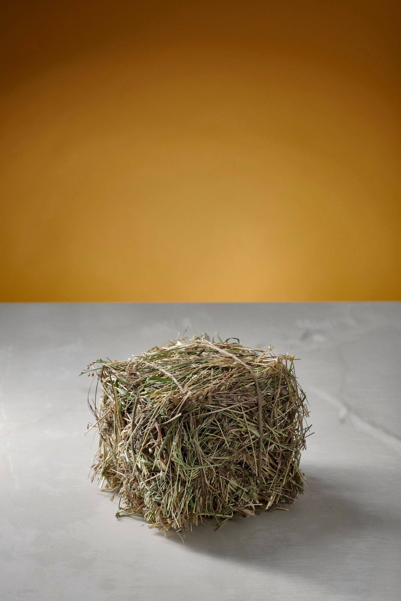 a mini hay dice with white sapienstone top and yellow background