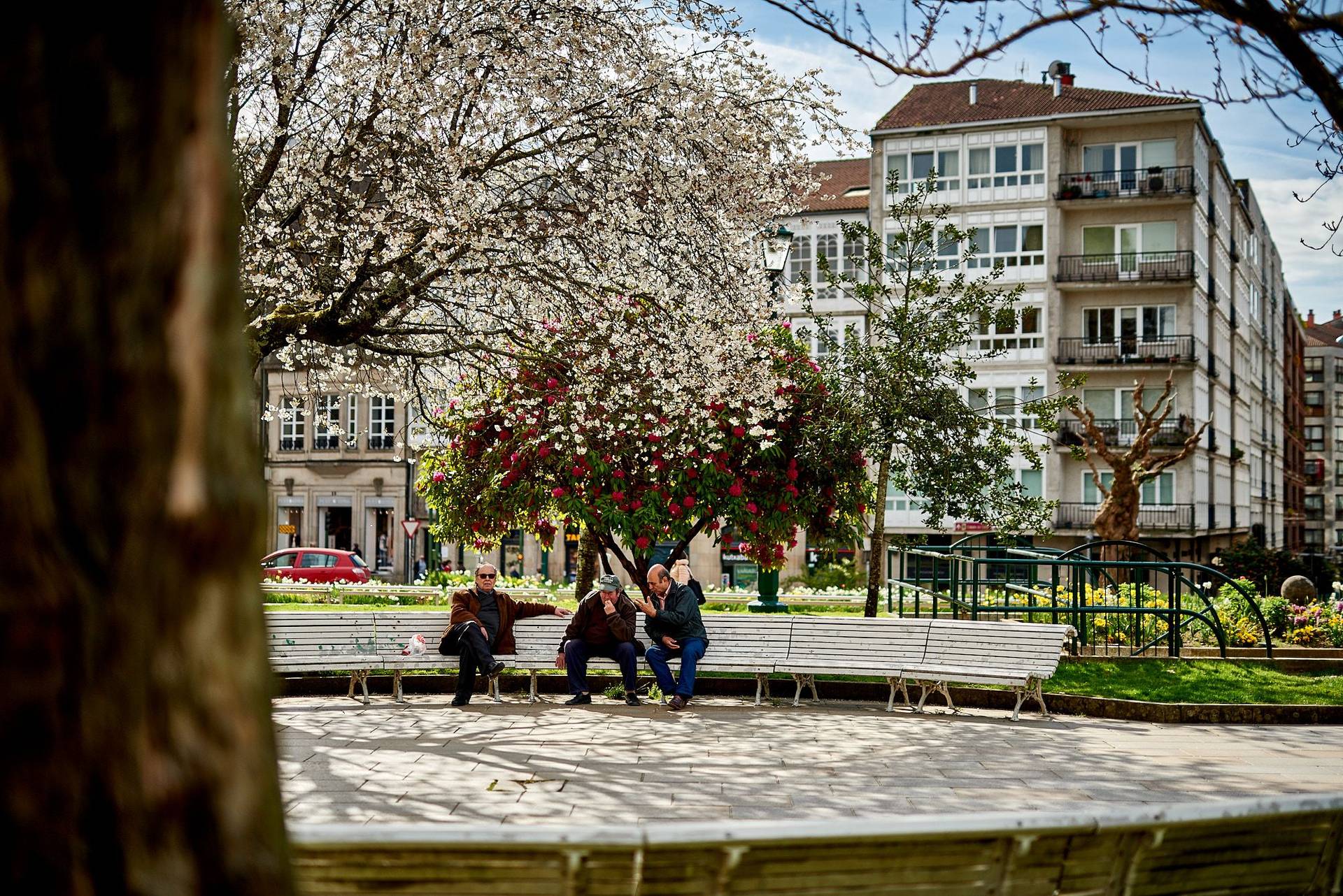 impressionen aus santiago de compostela