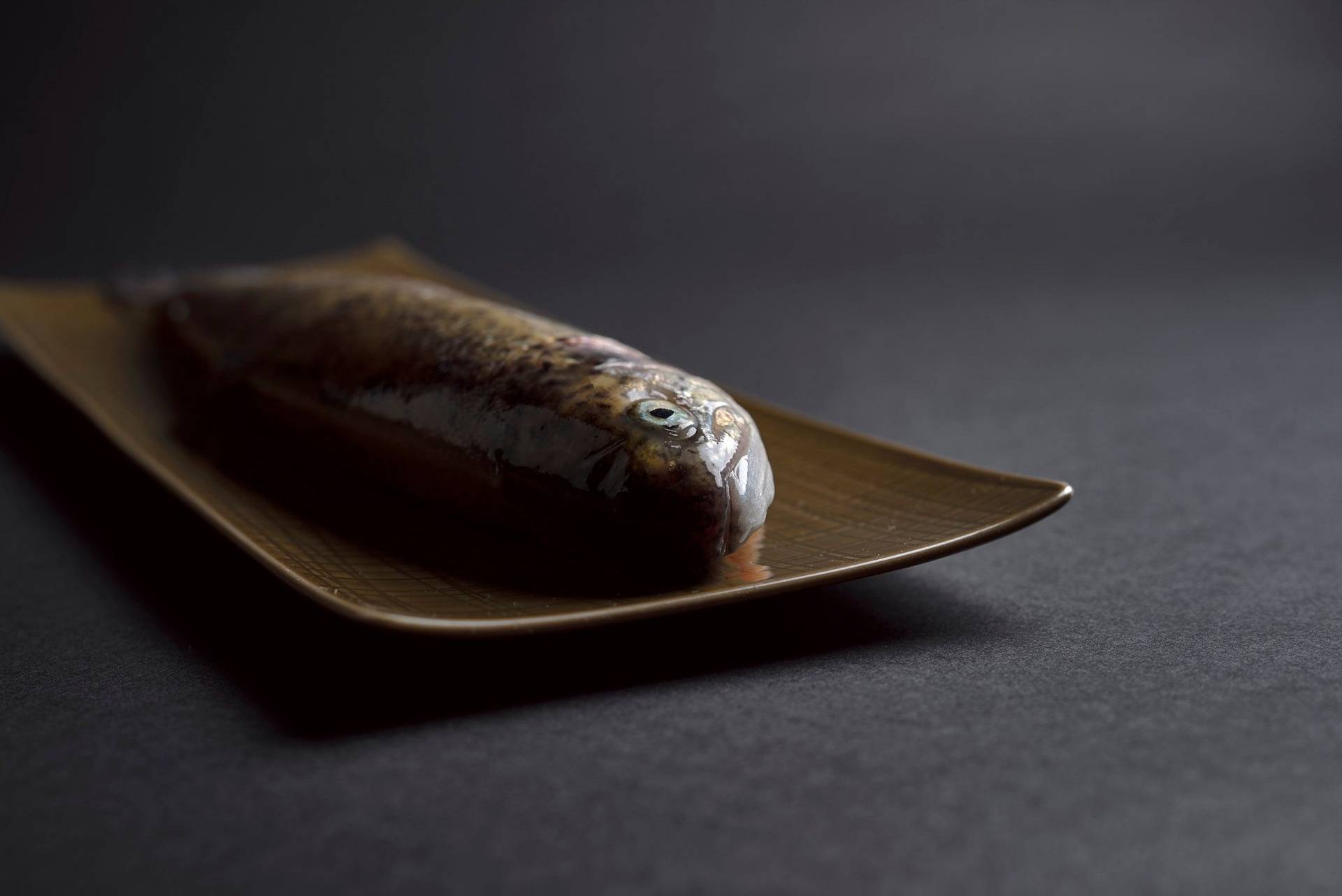 char on a green plate with black background