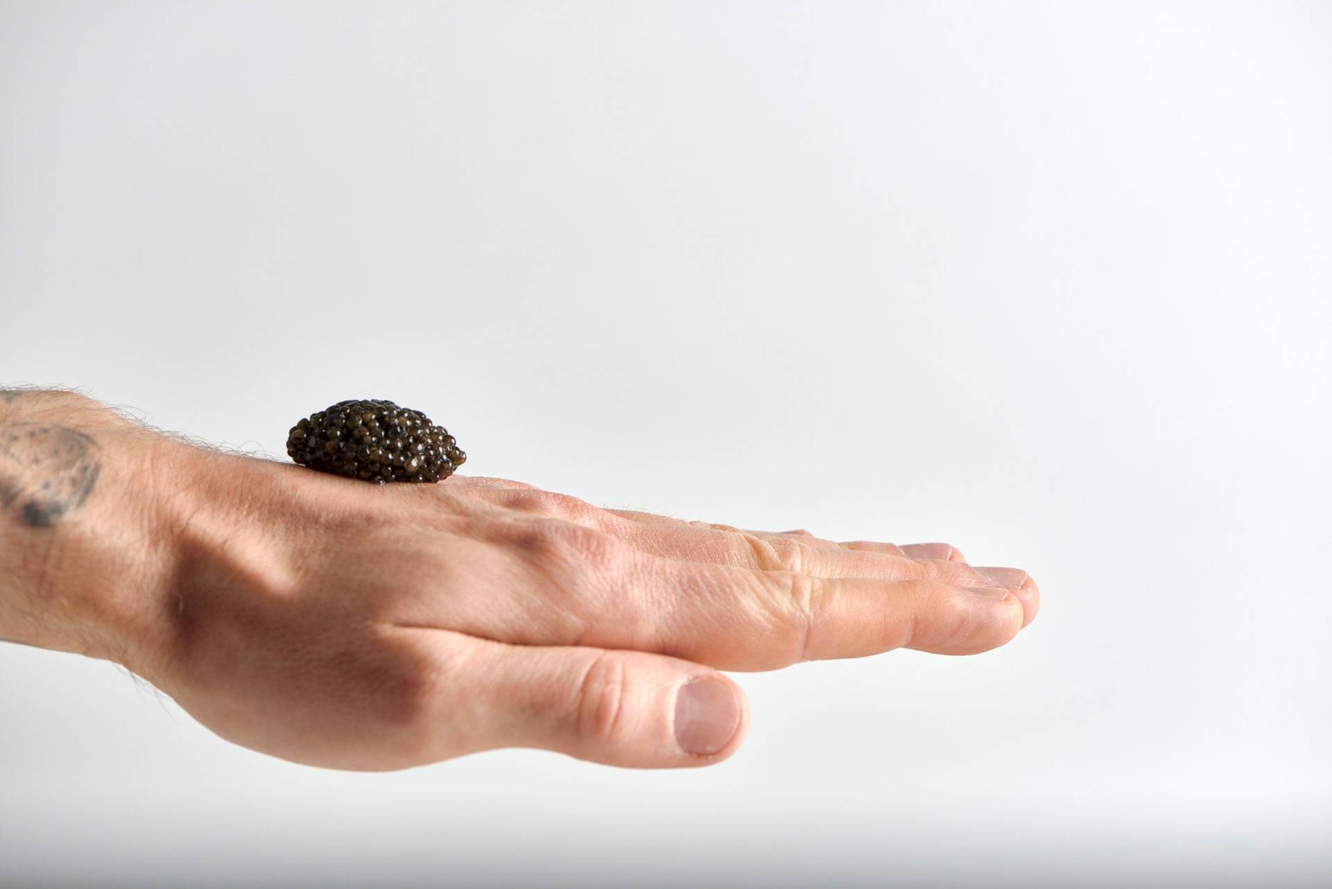 kaviar auf einer hand mit weißem hintergrund