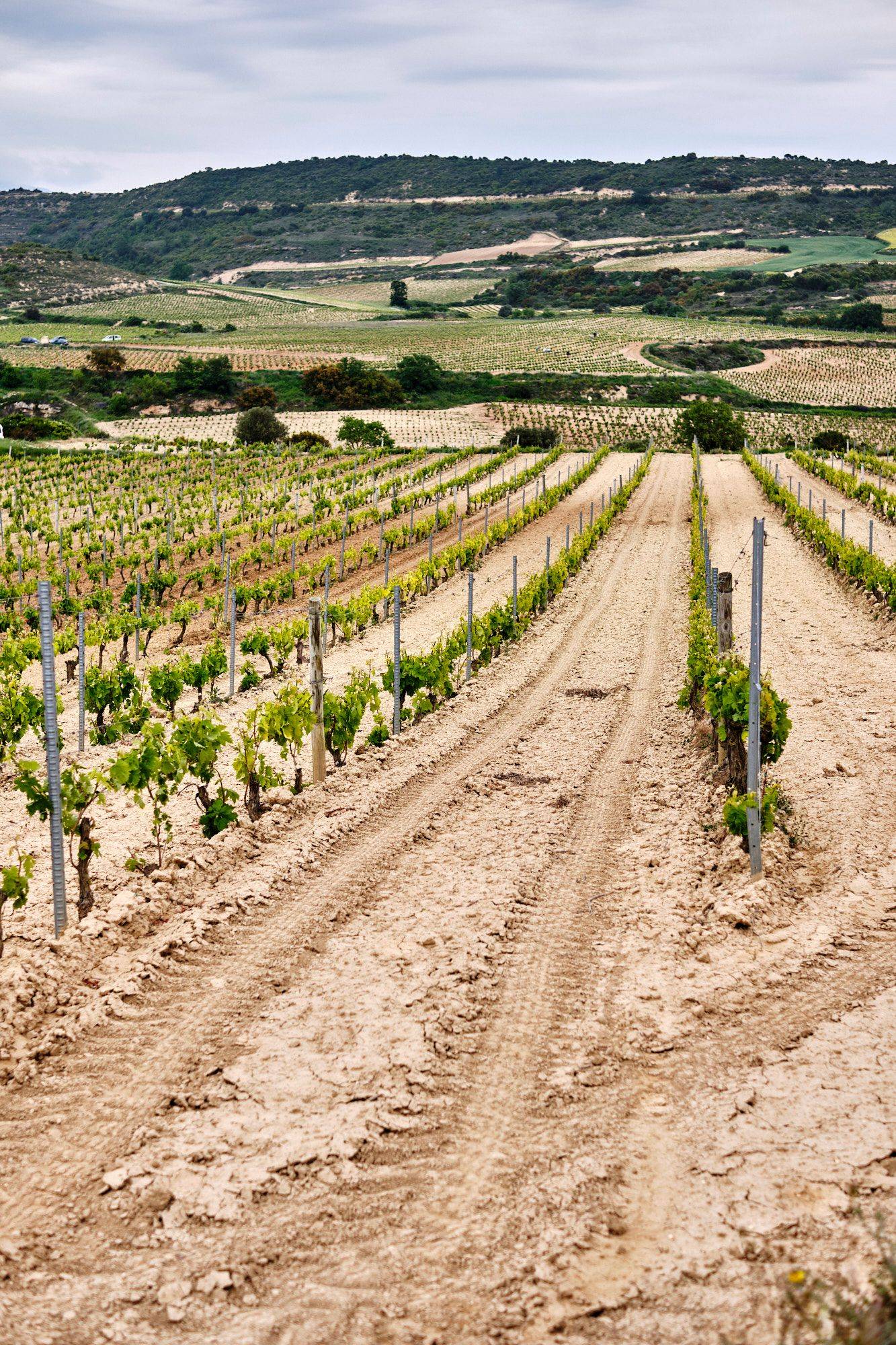 die bodega ramon bilbao in der rioja alta region