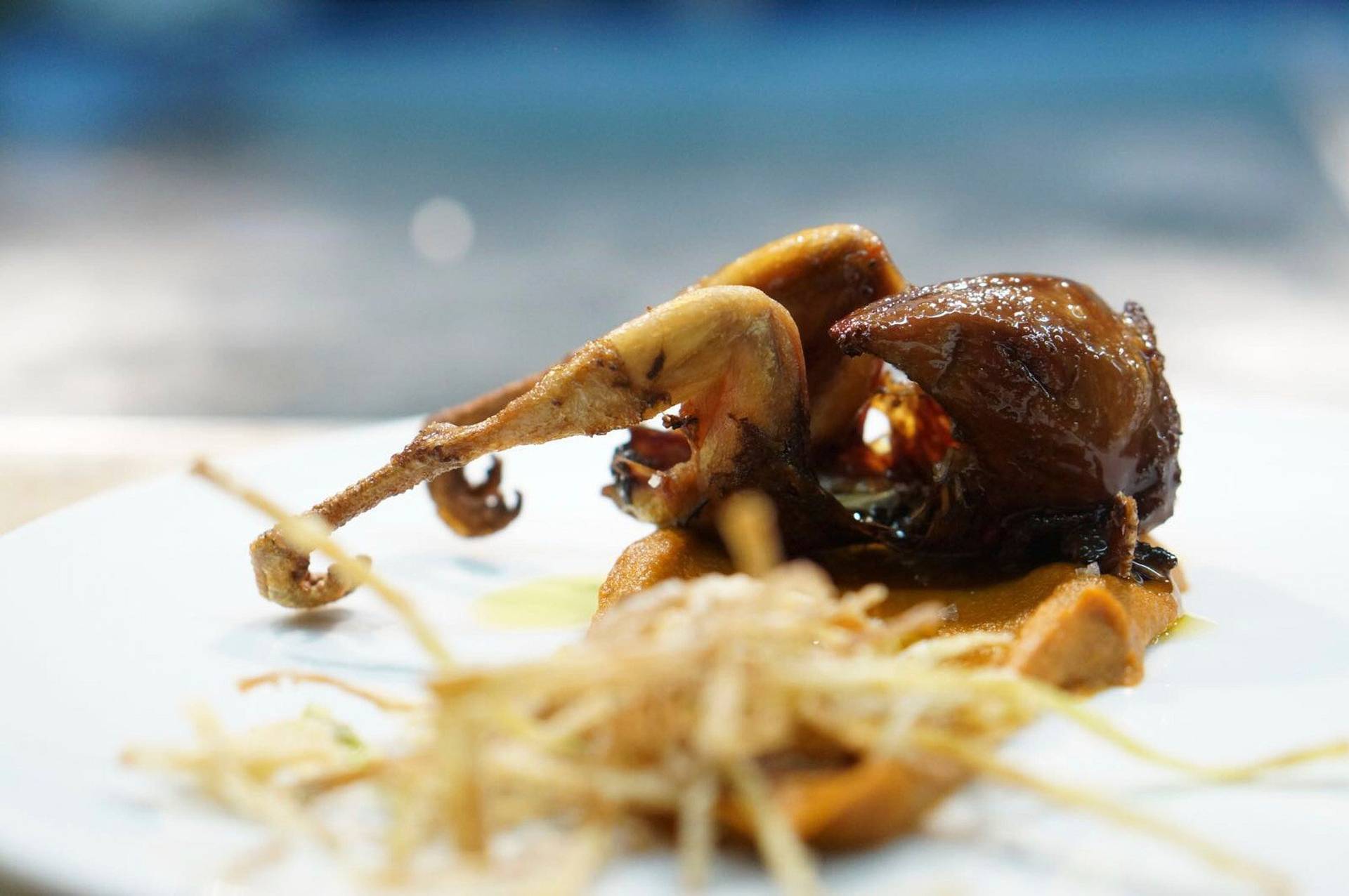 chef leopoldo calhau serving an olive oil dinner in lisbon