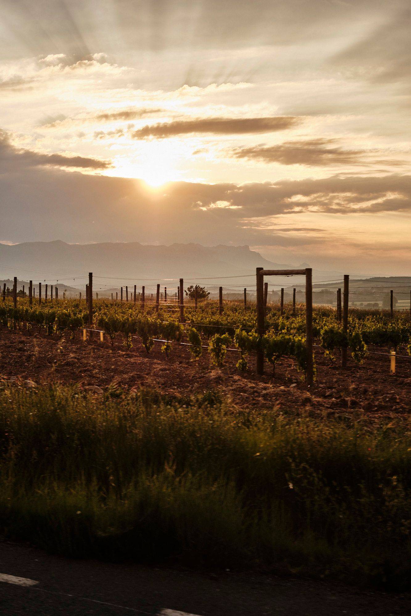 die bodega ramon bilbao in der rioja alta region von oben