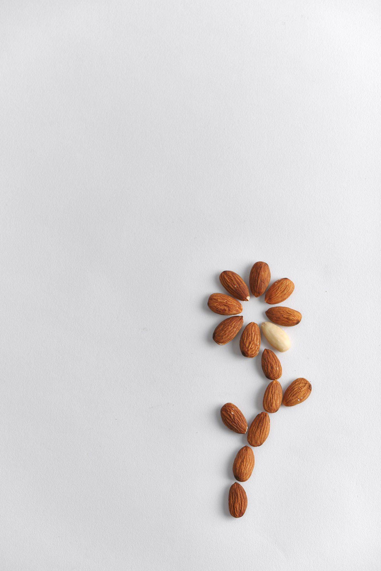 almond flower on a gray plate with white background