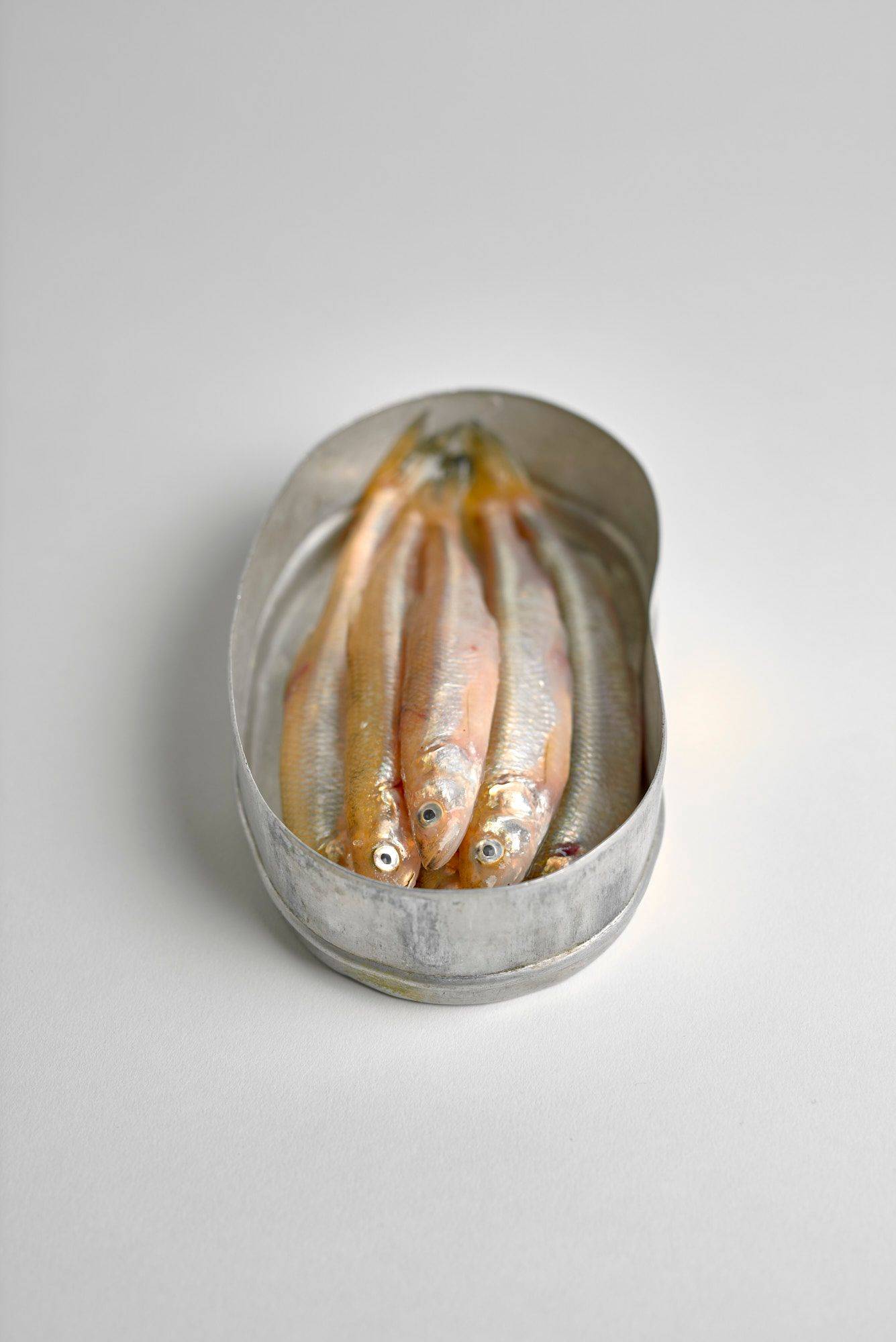 smelt-fish smelt fish in a vintage lunch box on white background