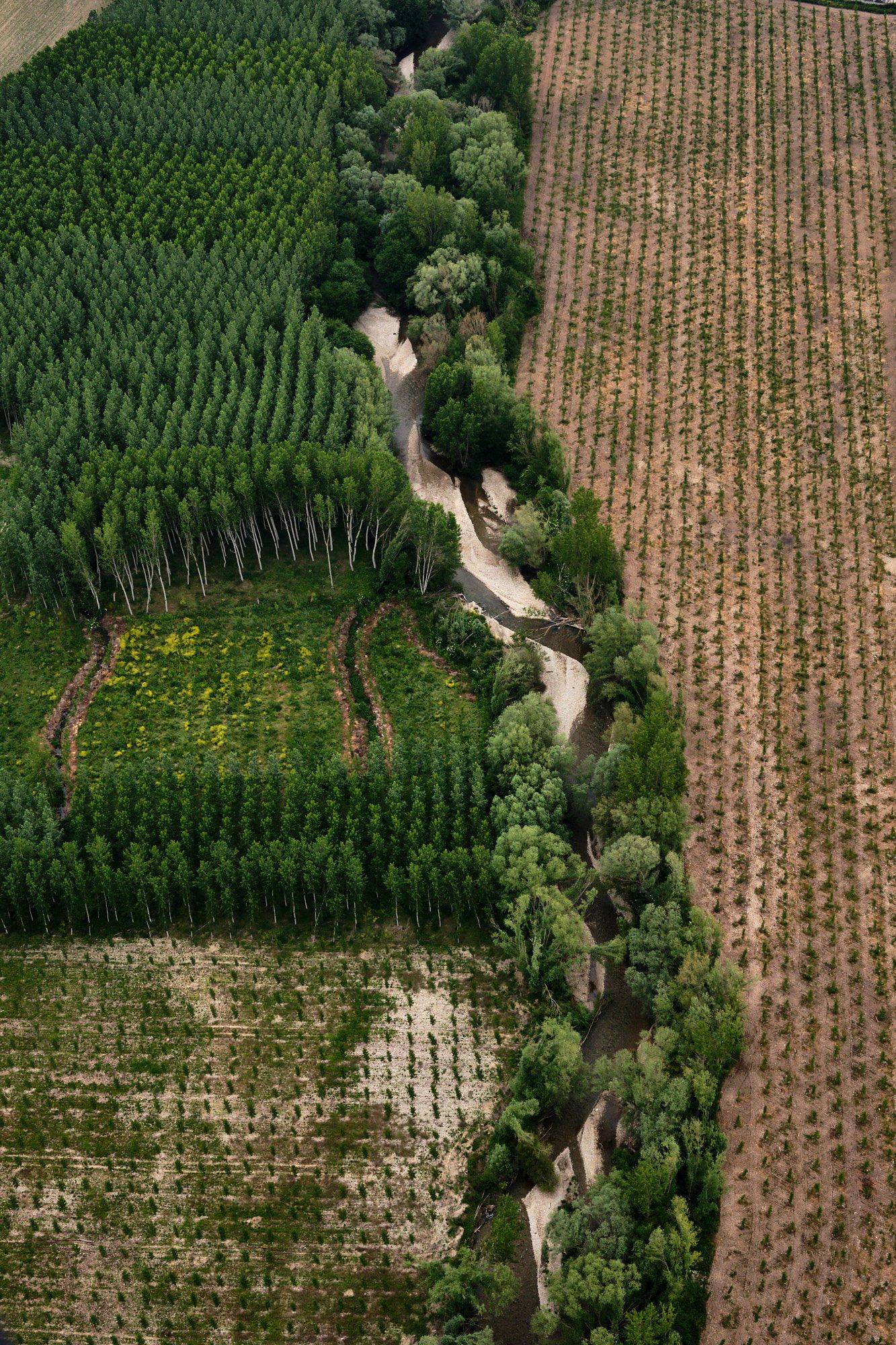 the wine region rioja alta in spain