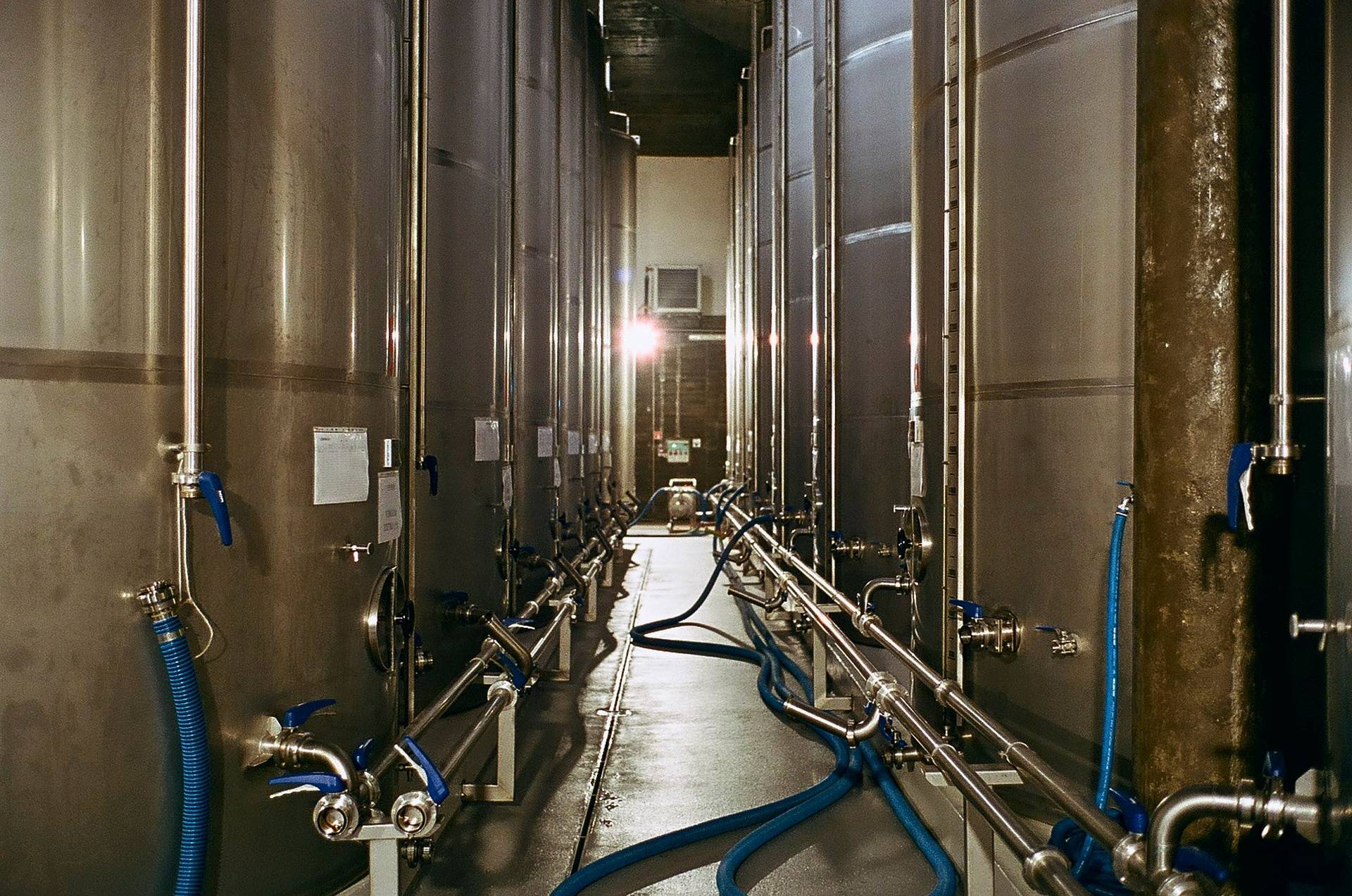 olive oil production in alentejo