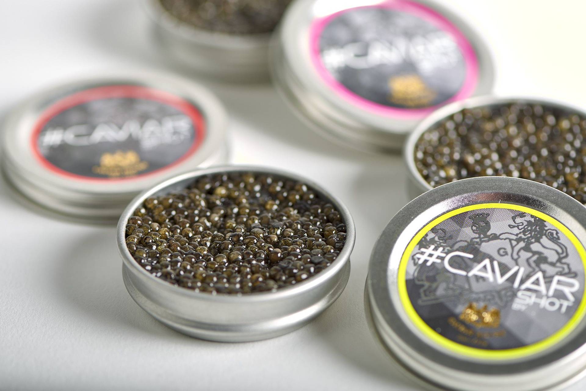 caviarshot from caviar house and prunier on white background