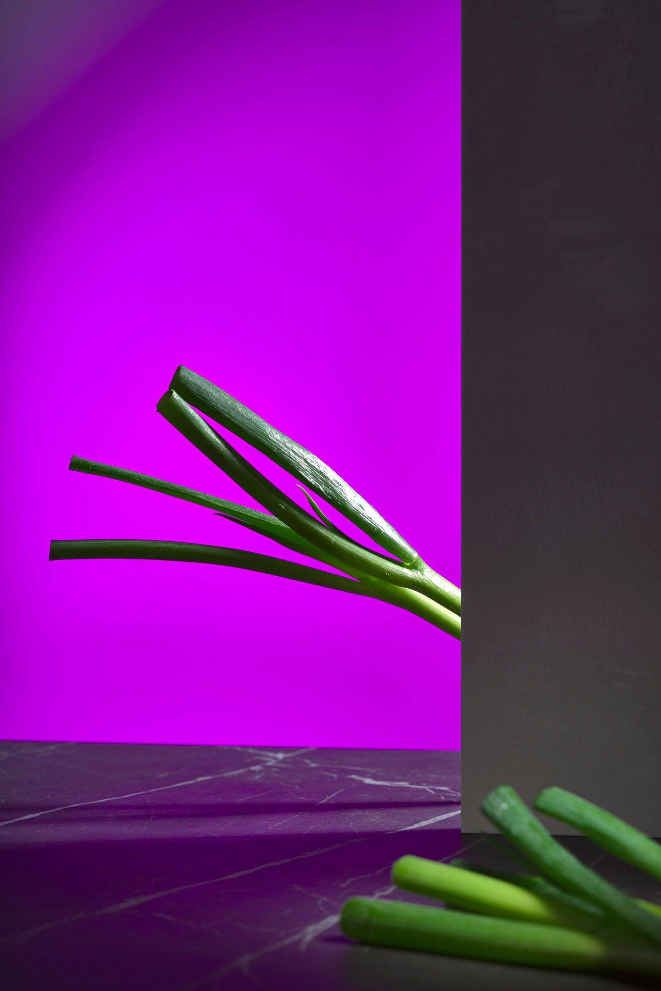 scallions on a gray marbled sapienstone top with purple background