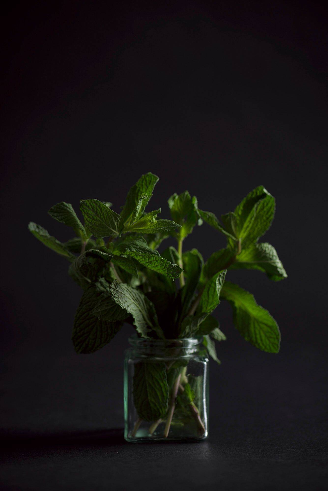 mint in a glass on a gray sapienstone top