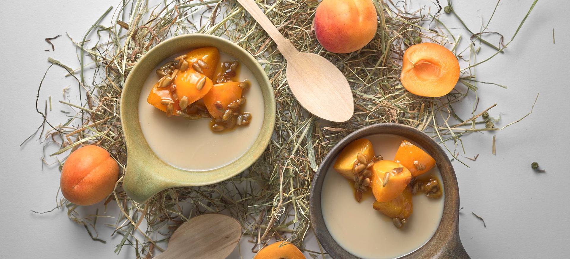 Heu Panna Cotta mit Aprikosen & Sonnenblumenkernen 