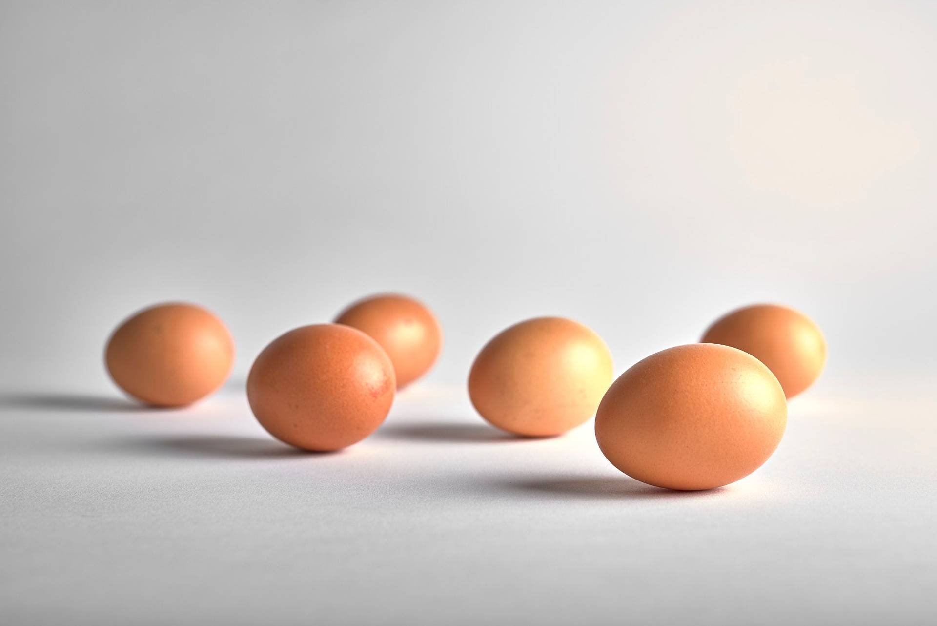 six brown eggs on white background
