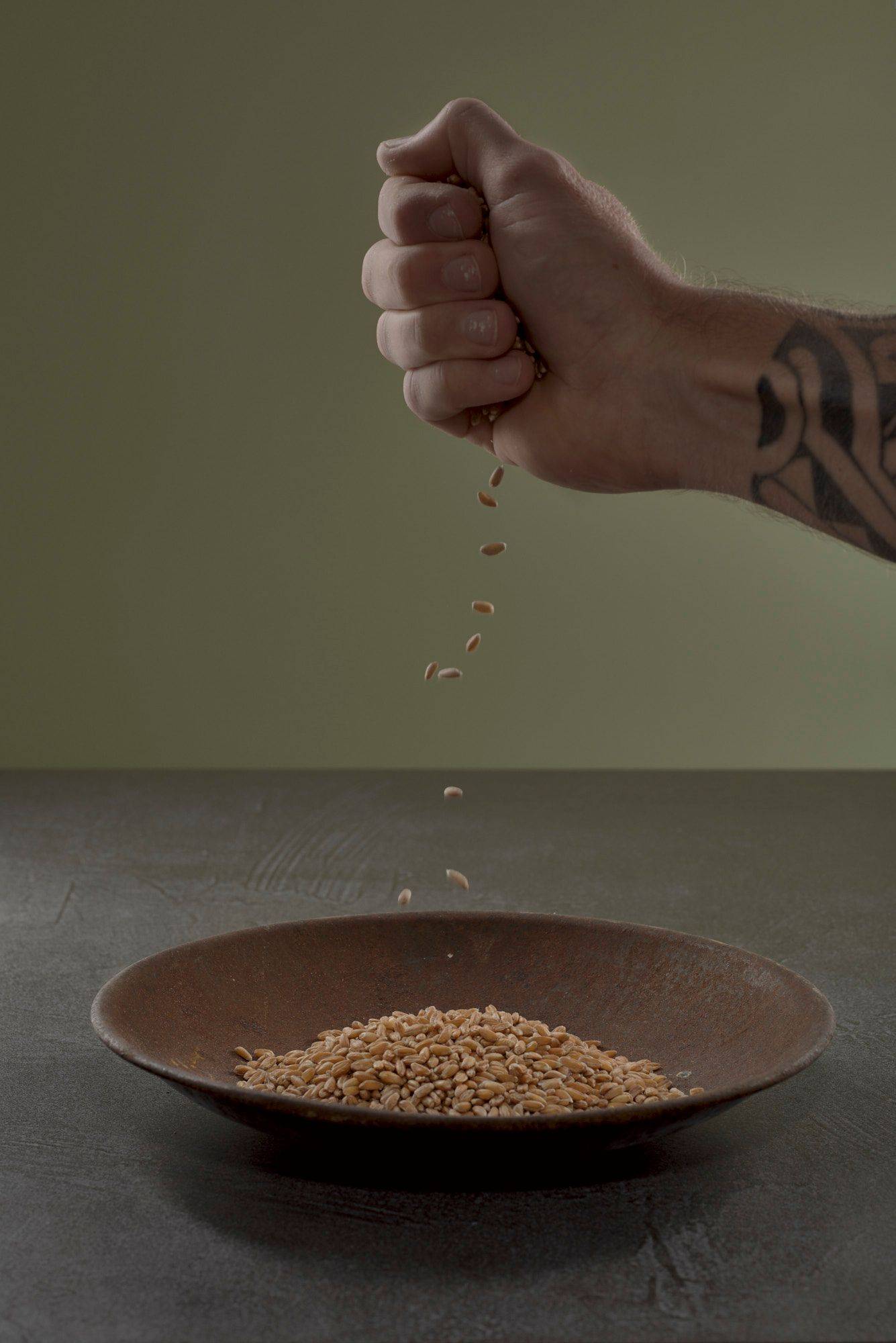 spelt-cereals in a rusty bowl on a gray sapienstone top with green background