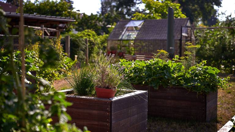 Gardening with Fryd