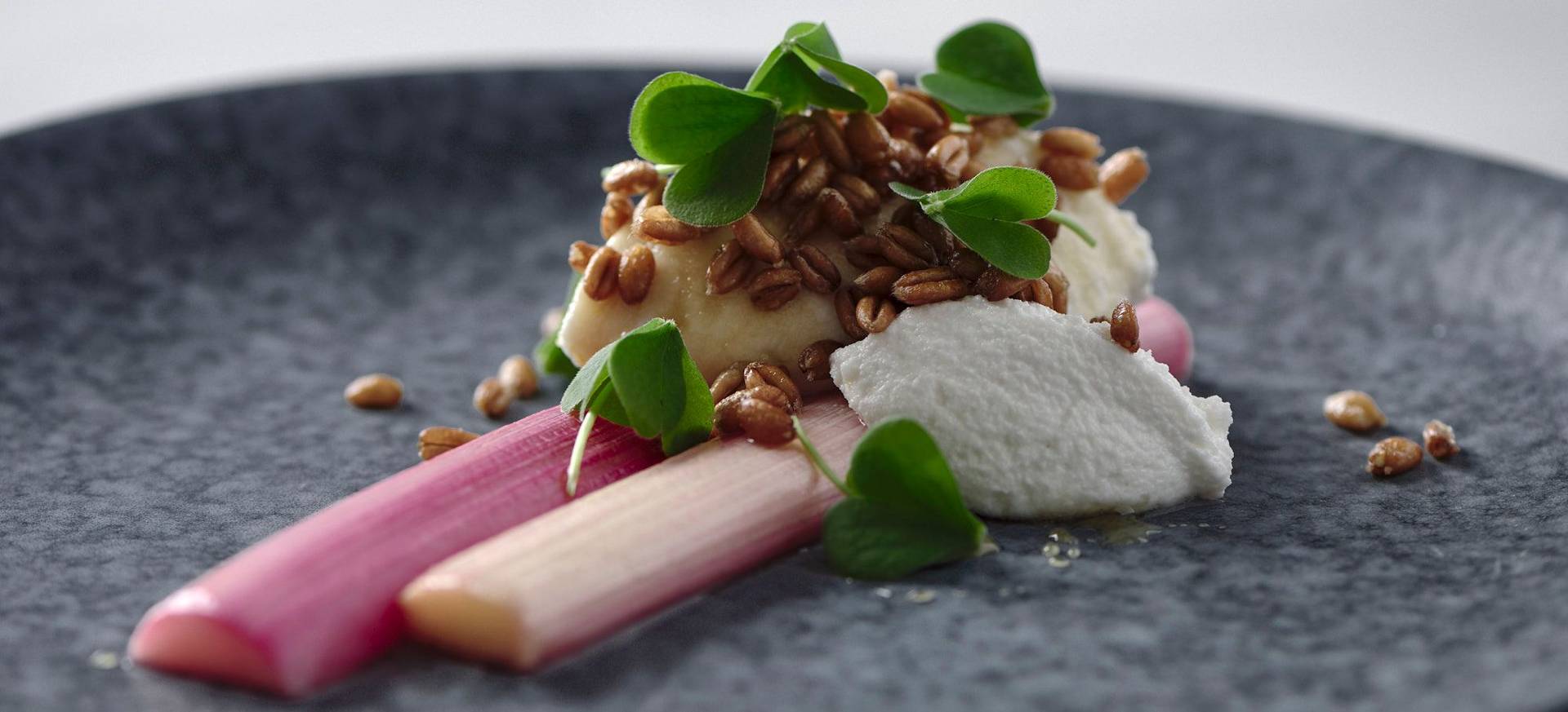 Braised Rhubarb with Vegan Ricotta, Spelt Pops & Sorrel