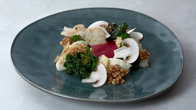 Kabeljau mit Roter Beete, Ricotta, Molke & Buchweizenpops