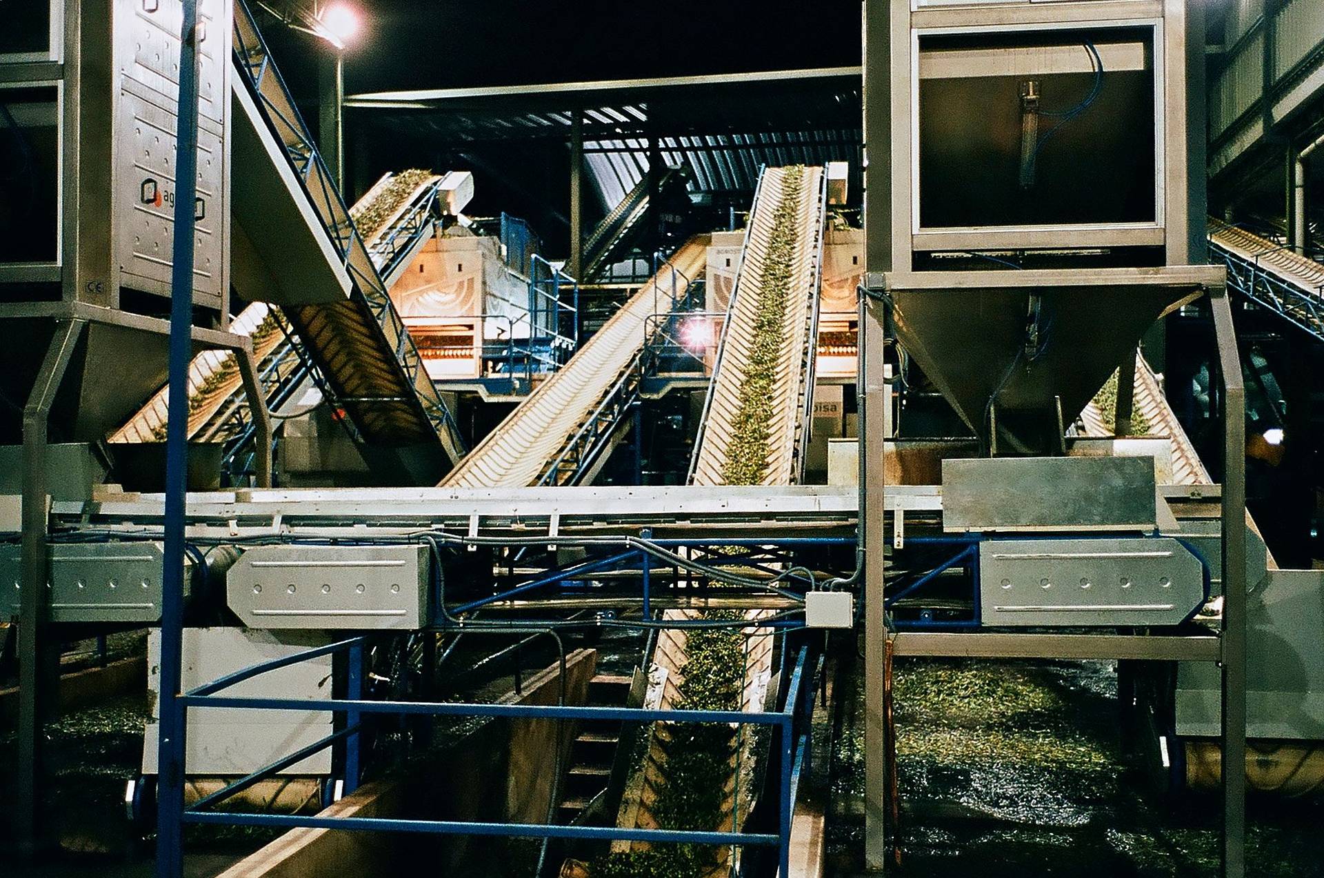 olive oil production at camb in alentejo