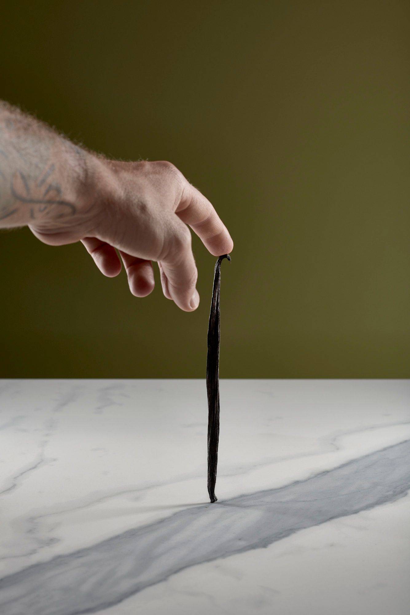 hand holding a vanilla pod with a marbled sapienstone top and green background