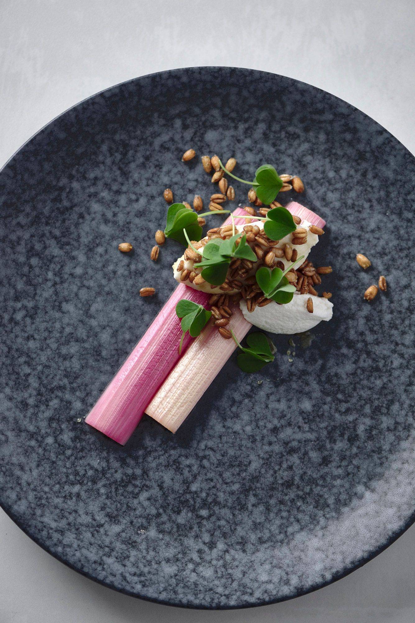 geschmorter rhabarber mit veganem ricotta dinkelpops und sauerklee auf einem blauen teller mit weißem sapienstone top