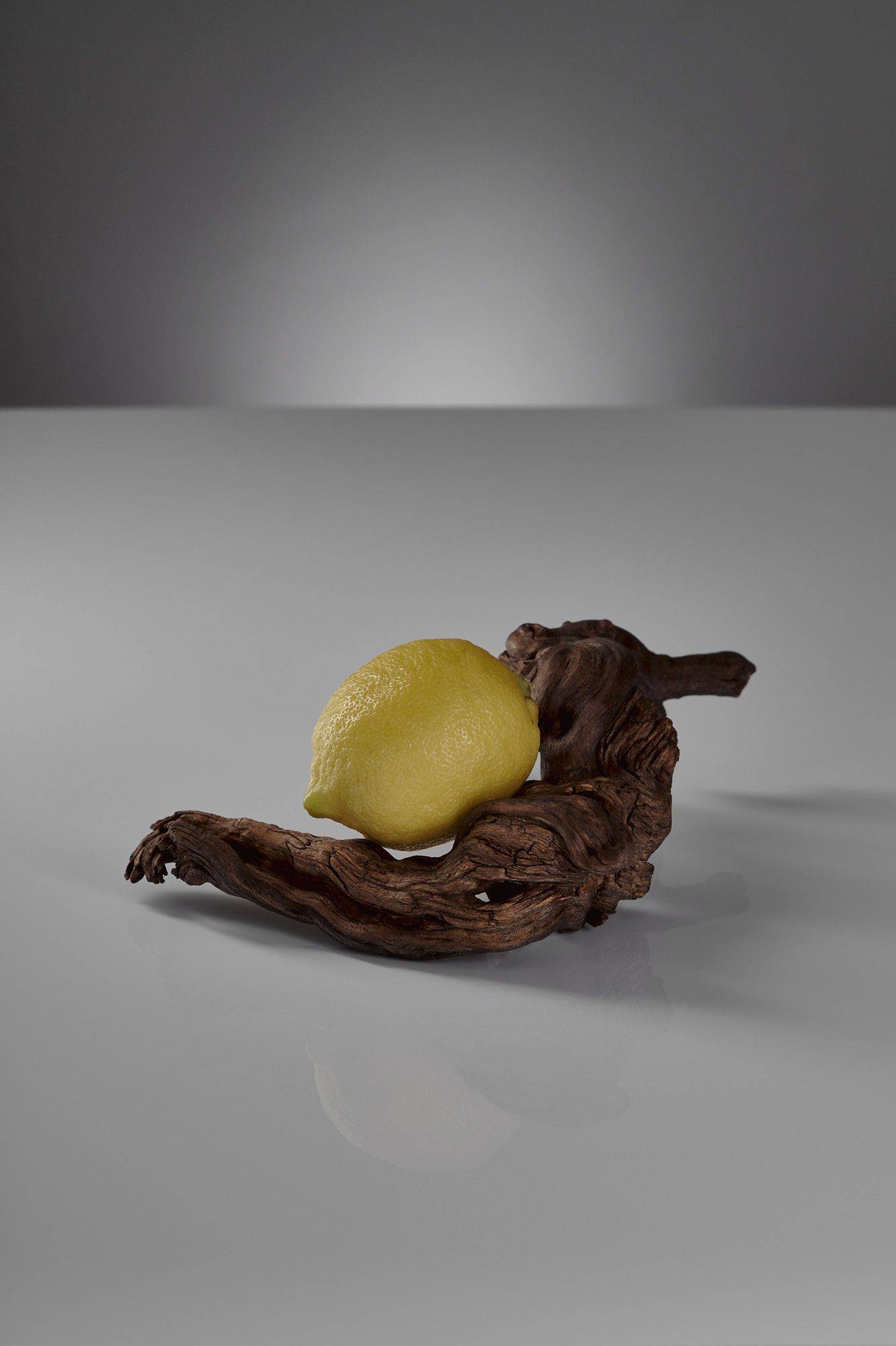 lemon on gray background