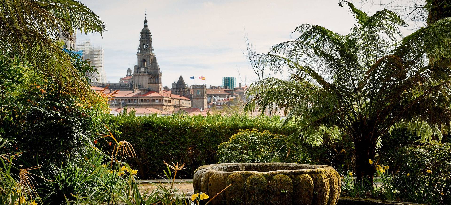 Santiago de Compostela – auf den Spuren der Jakobsmuschel