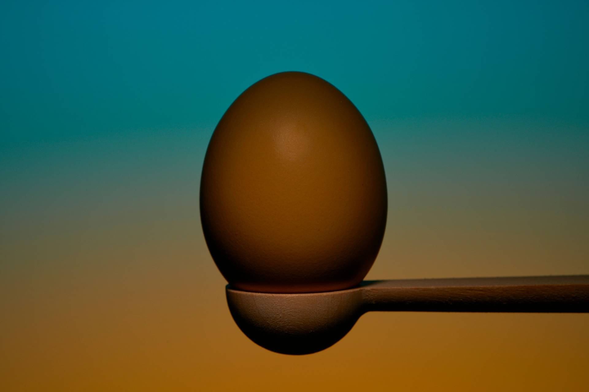 organic egg on a wooden spoon on blue and orange background