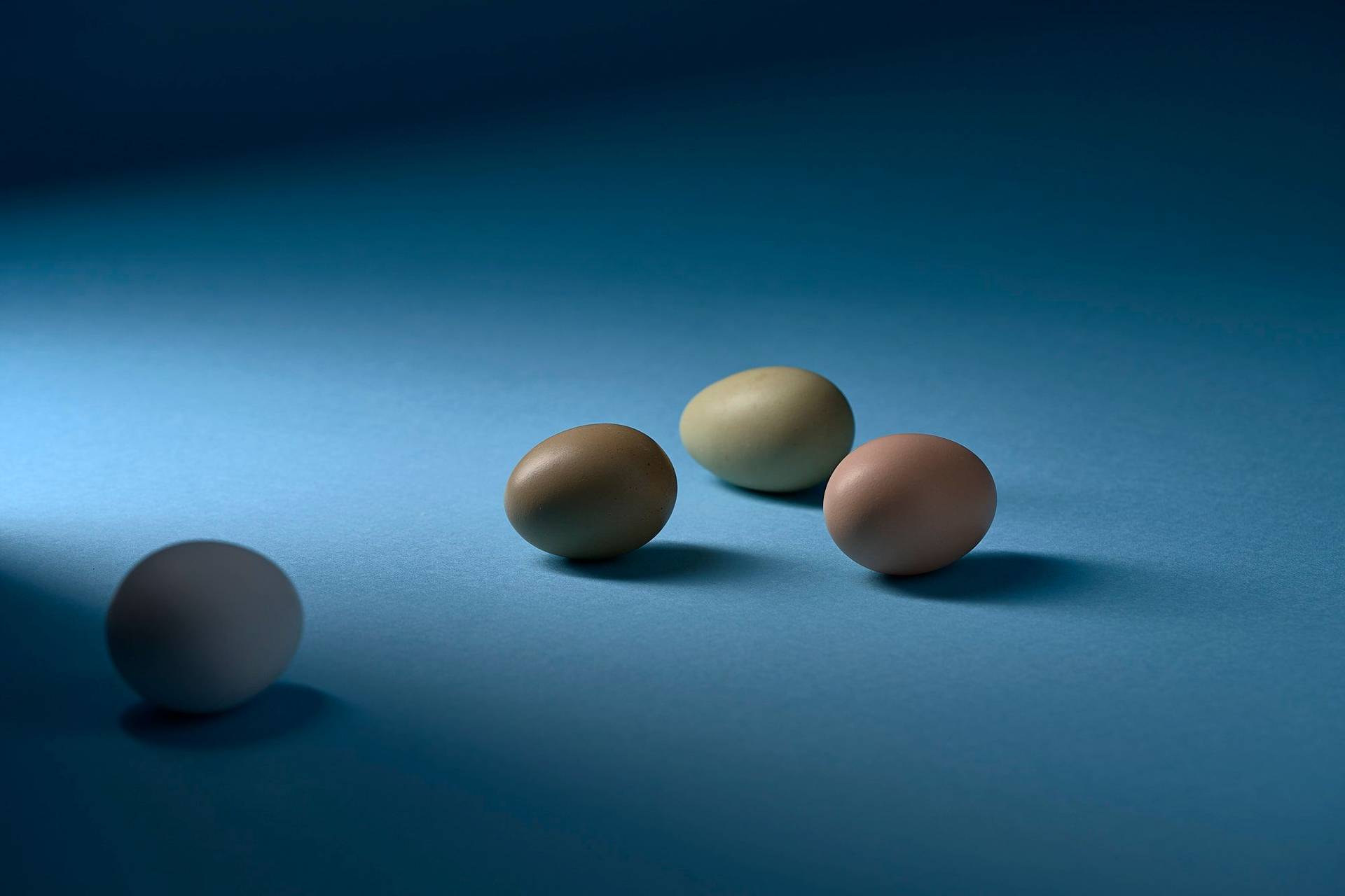 four organic eggs with blue background