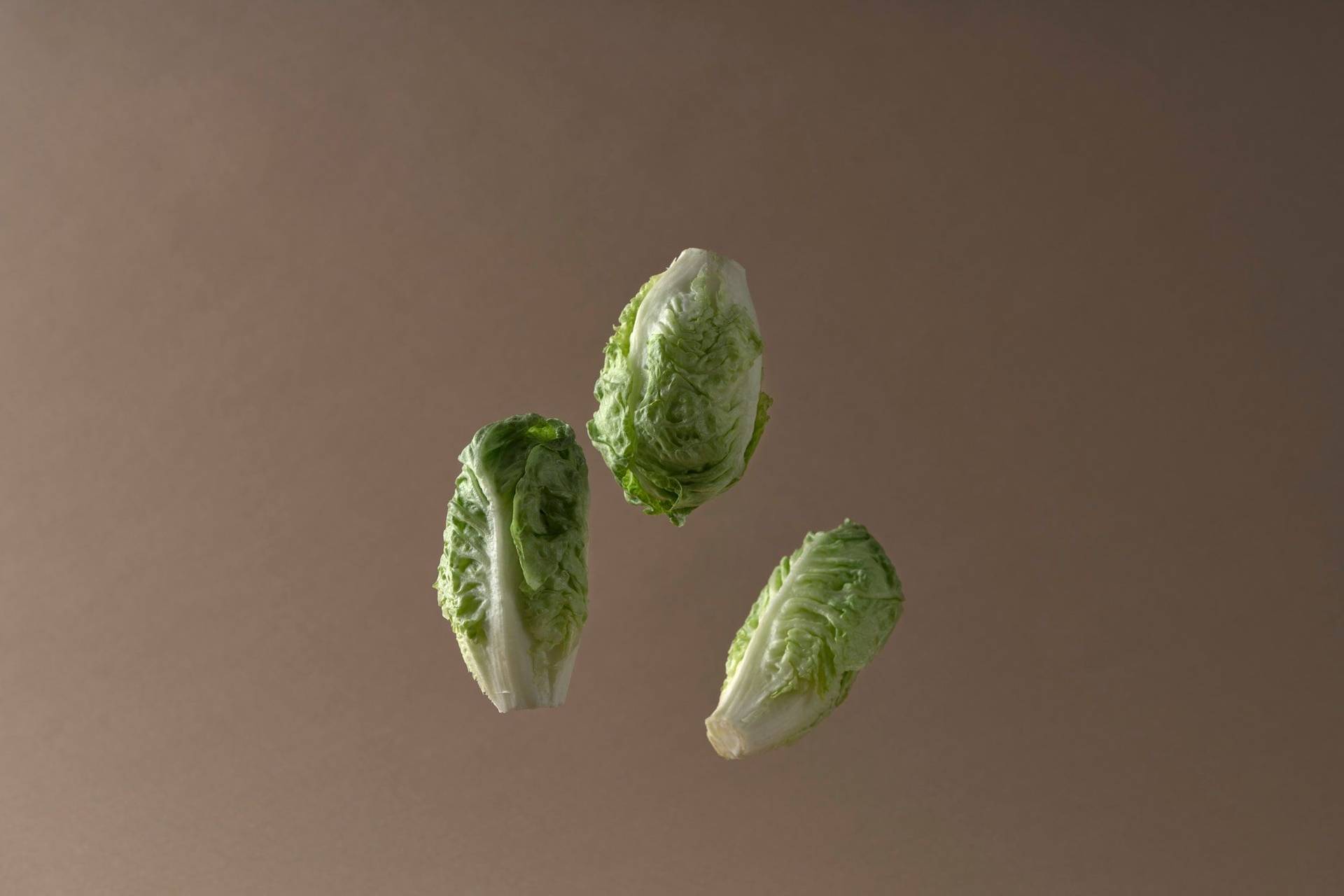 drei römersalat köpfe mit braunem hintergrund