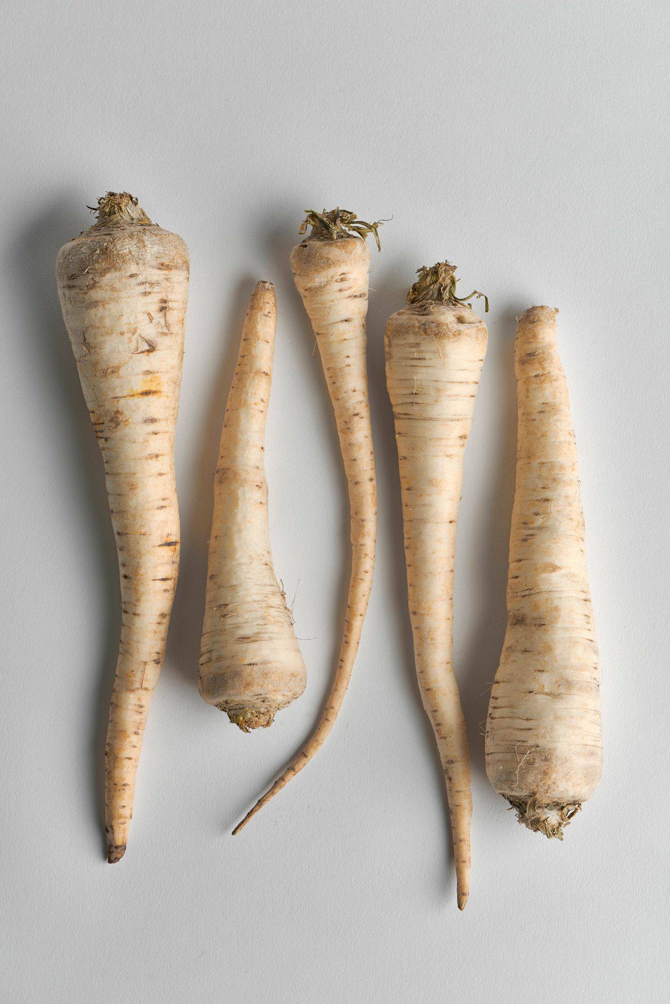 five parsnip roots on white background