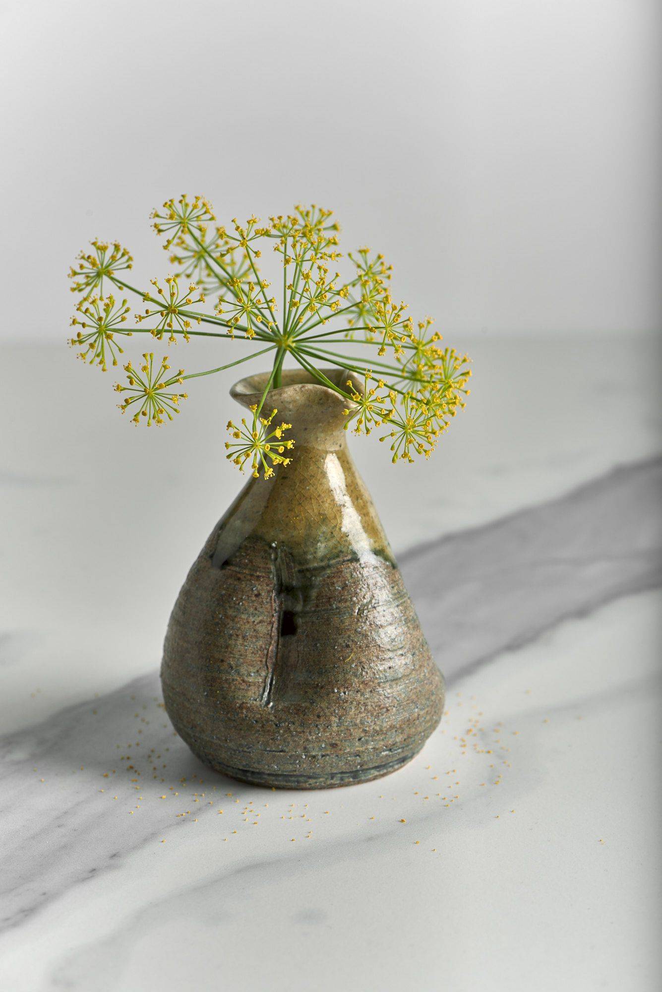 dill blossom in a ceramic vase with marbled sapienstone top