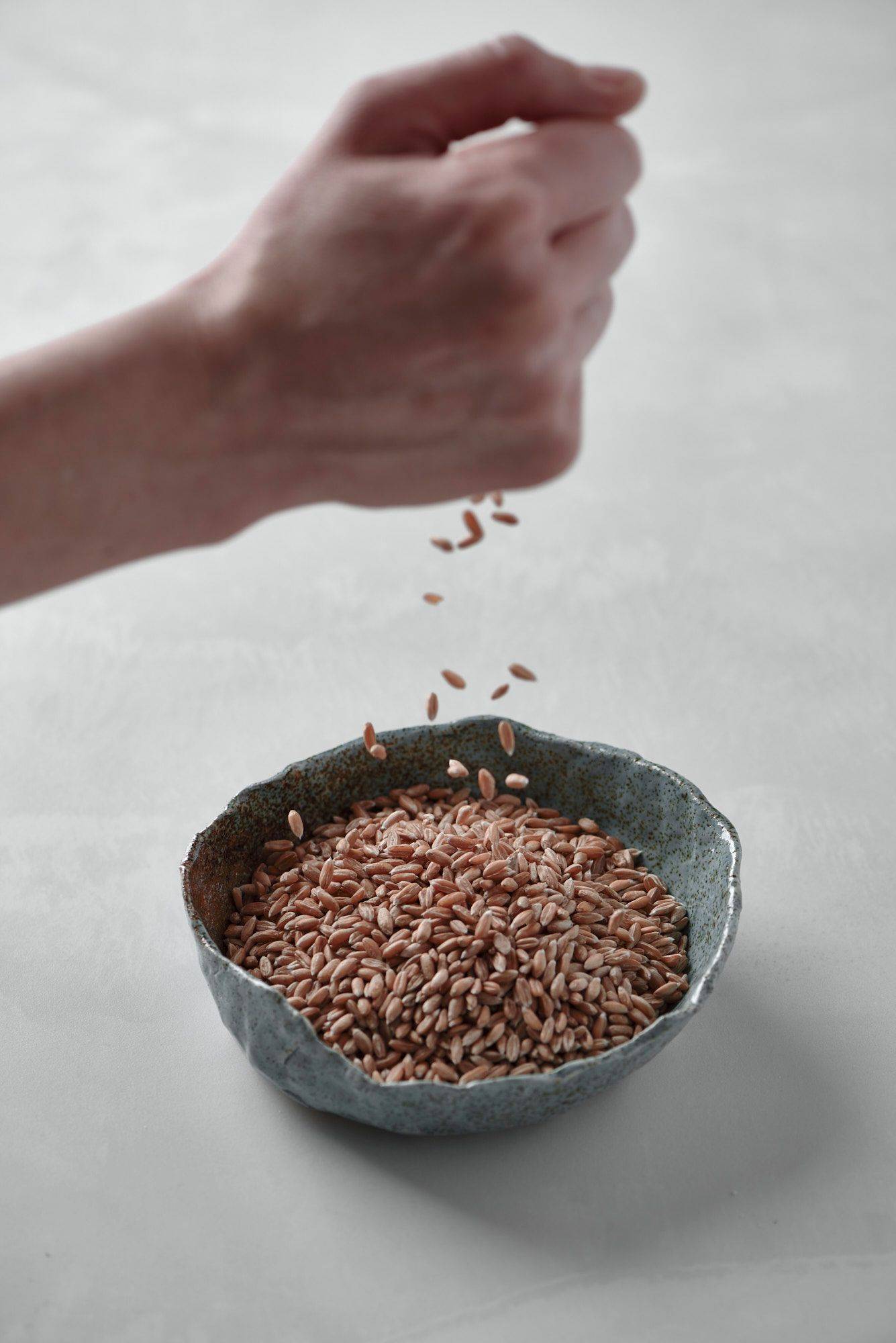 spelt-cereals spelt cereals with sapienstone top