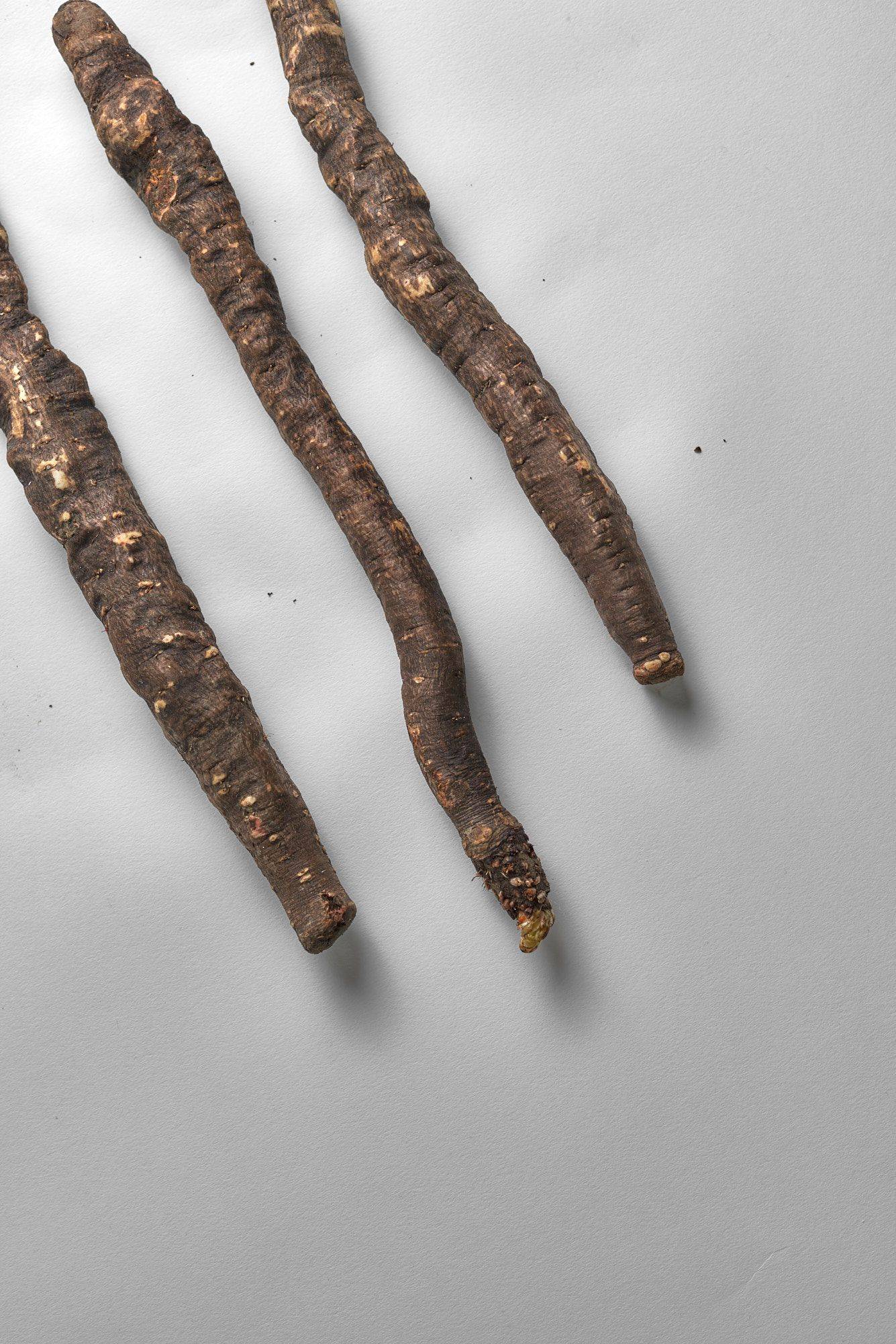 three pieces of black salsify on white background