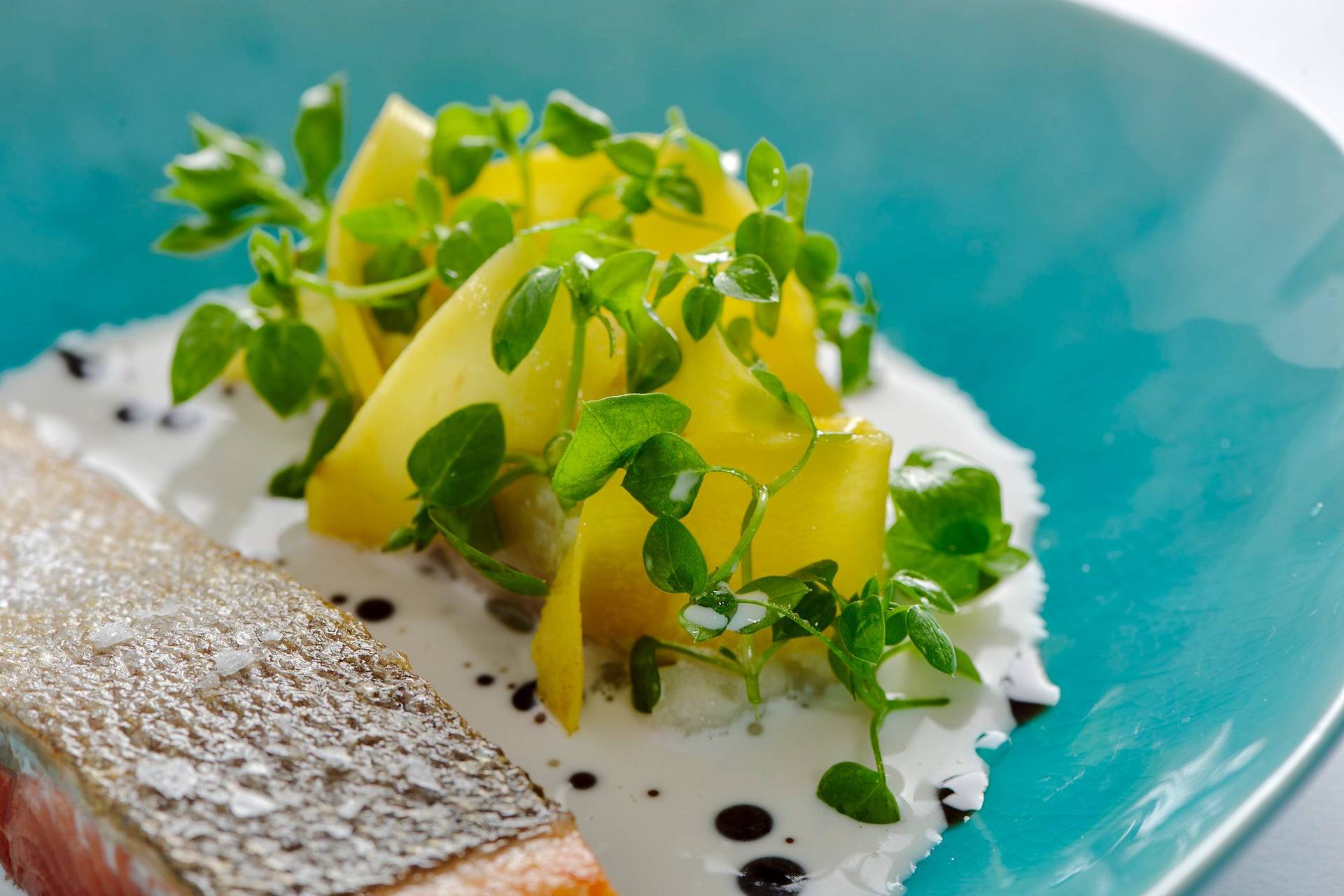 crispy salmon with black salsify coconut broth and spiced coffee on a turquoise plate with white background