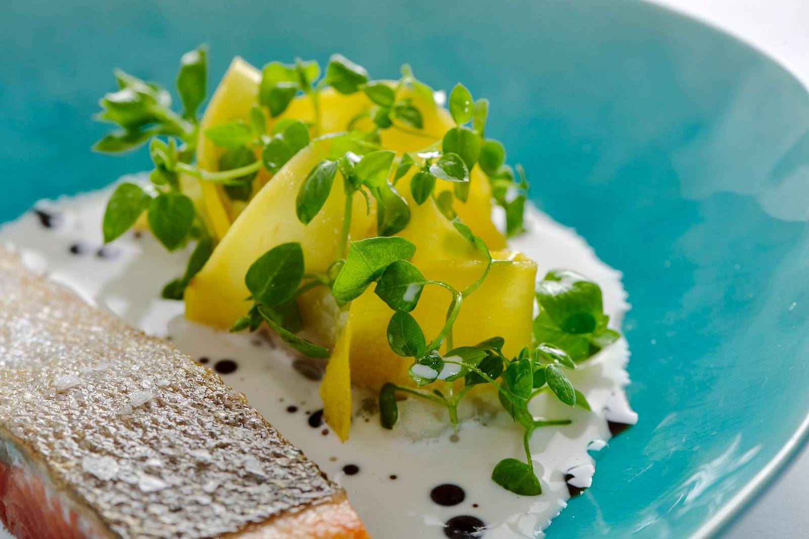 Knuspriger Lachs mit Schwarzwurzel, Kokosnuss Sud & Gewürz Kaffee ... Knuspriger Lachs mit Schwarzwurzel, Kokosnuss Sud & Gewürz Kaffee ...