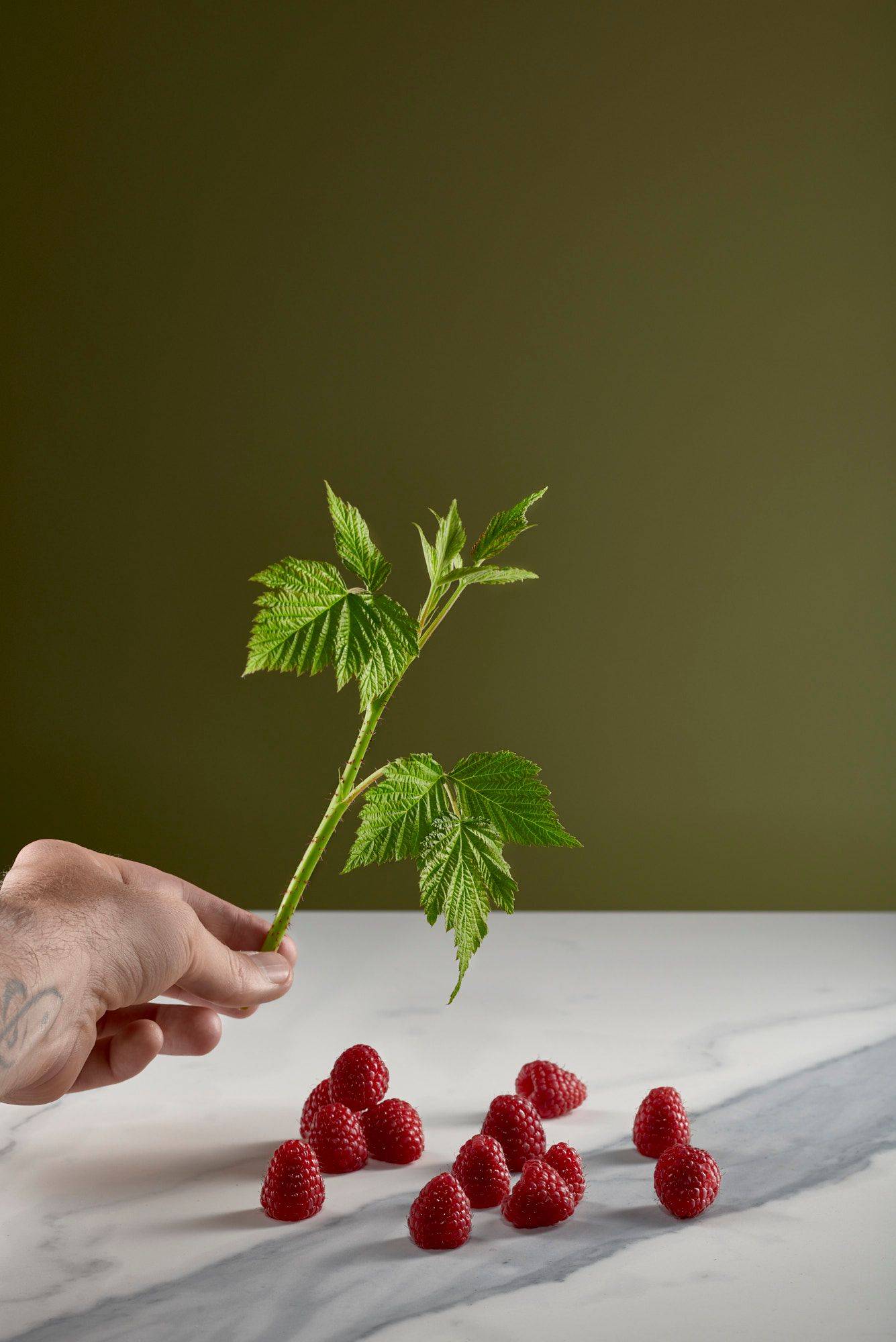 hand hält himbeeren mit grün mit marmoriertem sapienstone top und grünem hintergrund